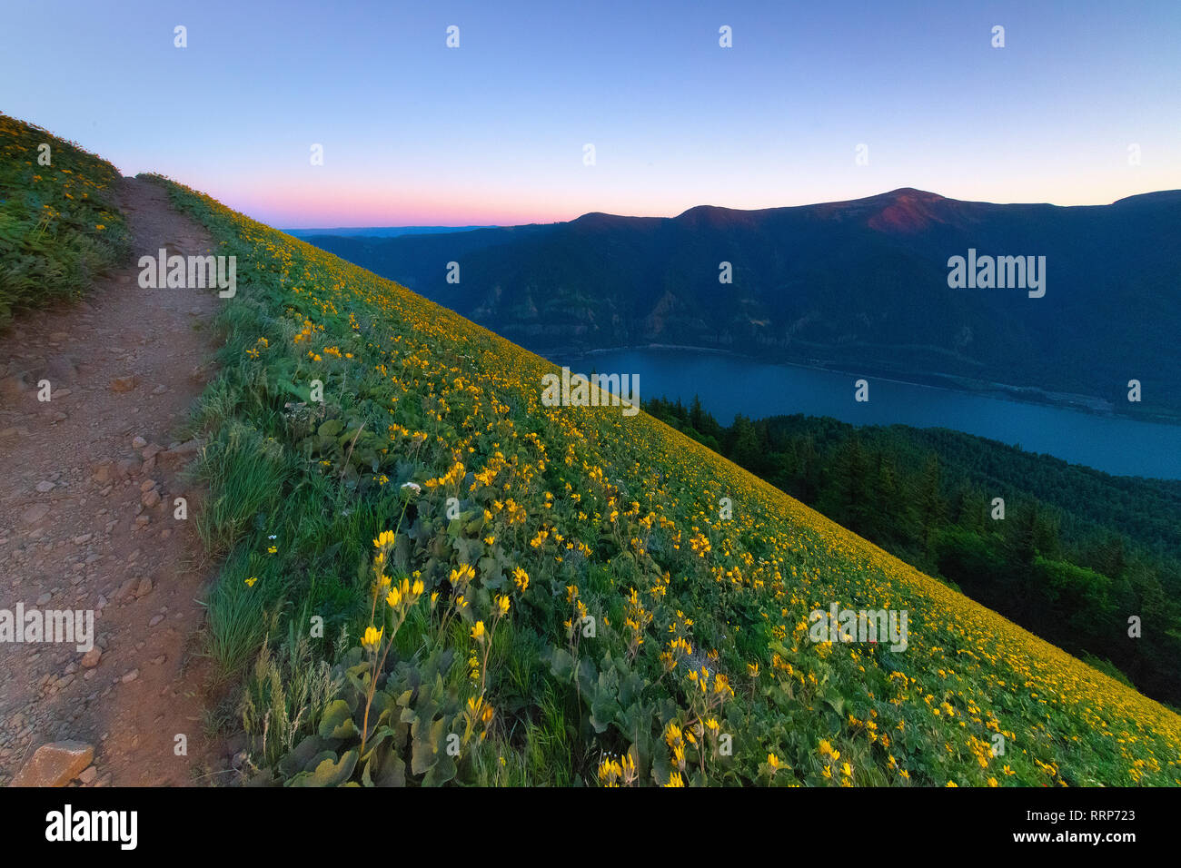 Bilder vom Hund Mountain Trail mit Blick auf den Columbia Gorge an der Grenze von Washington und Oregon Stockfoto