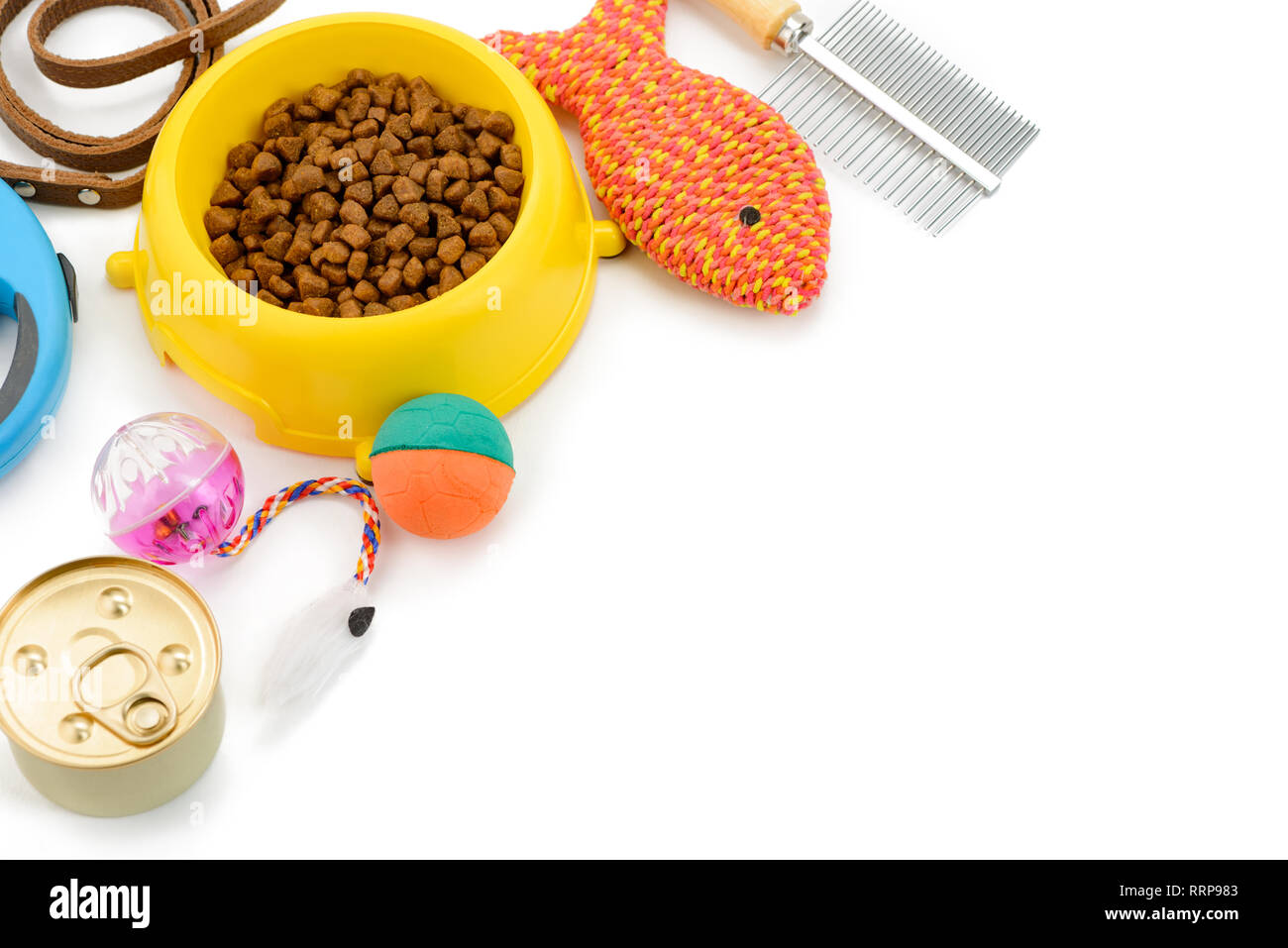 Katze liefert auf weißem Hintergrund Stockfoto