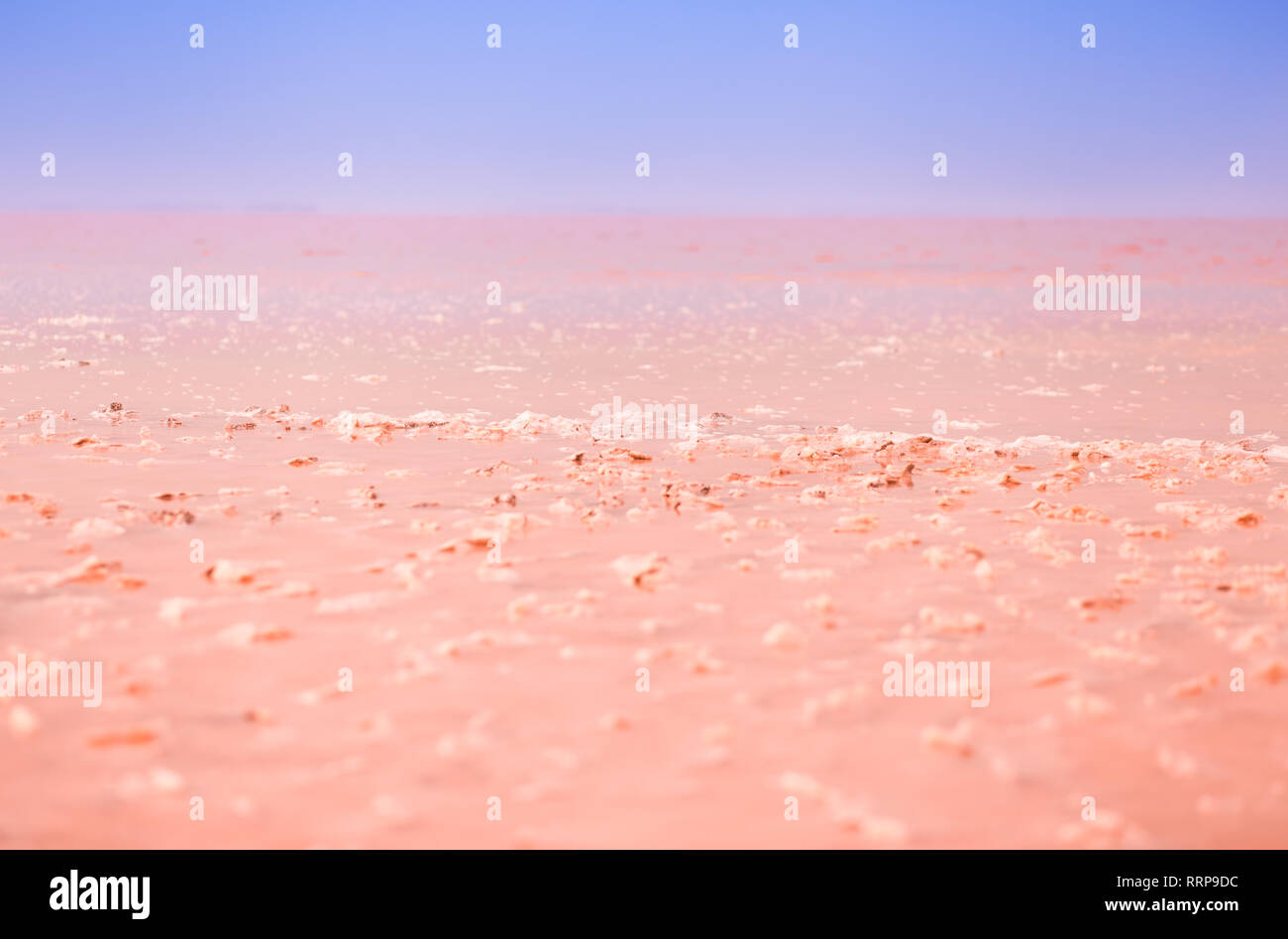 Schöne rosa salzigen See Hintergrund. Dunaliella Salina im Sommer Wärme macht den See rot. Salzkristalle aus lebenden Korallen im Salzwasser von Stockfoto