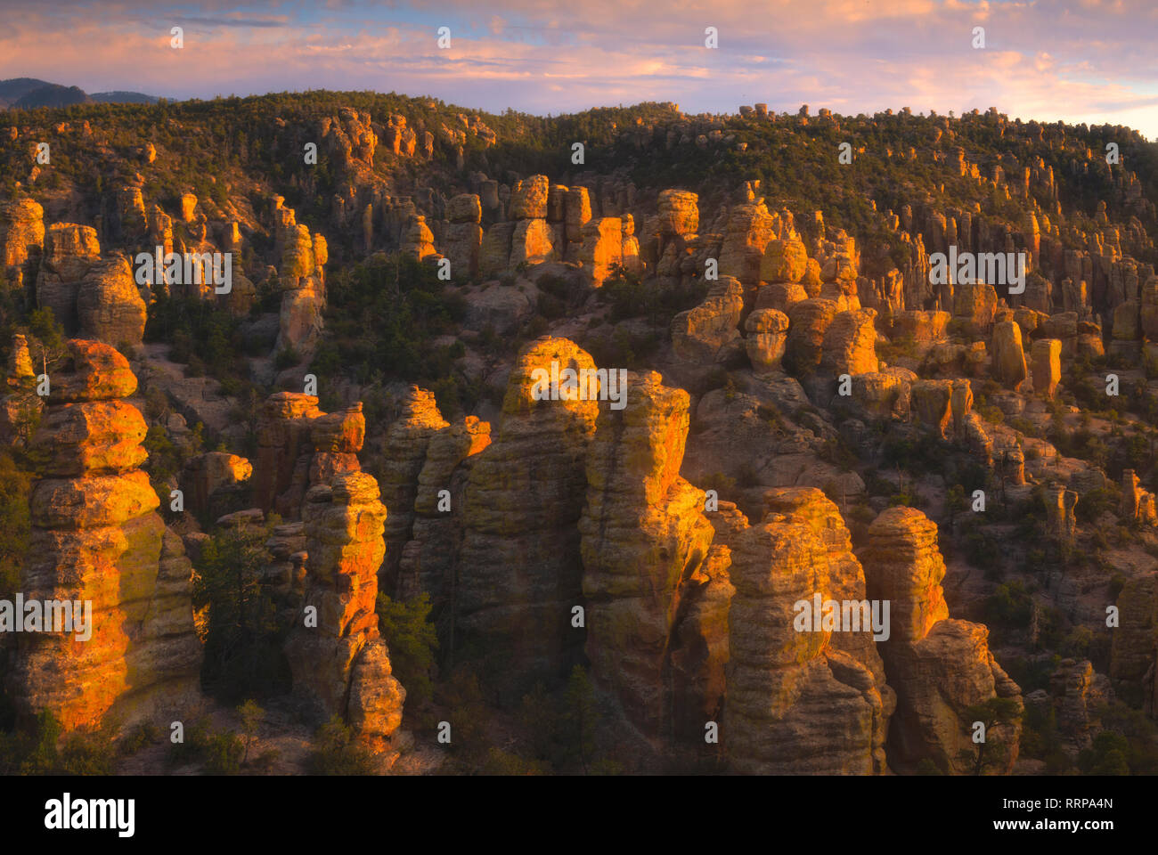 Bilder aus der Chiricahua National Monument Stockfoto