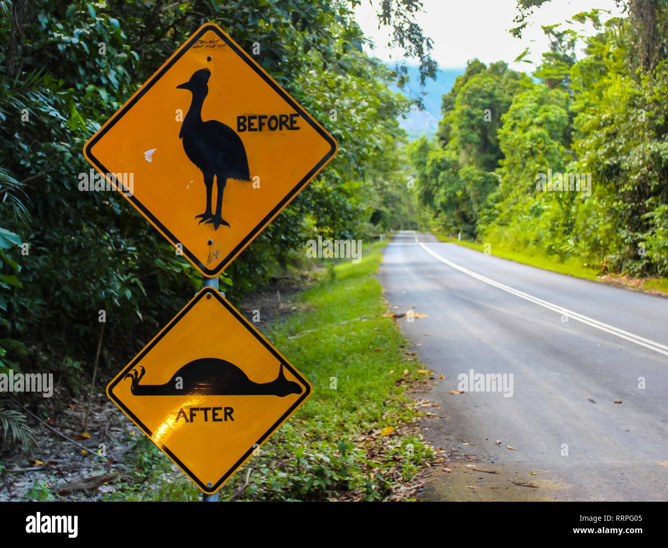 Warnschild auf der Straße Aufmerksamkeit Riese läuft Vogel cassowary, reisen Abenteuer Australien Stockfoto
