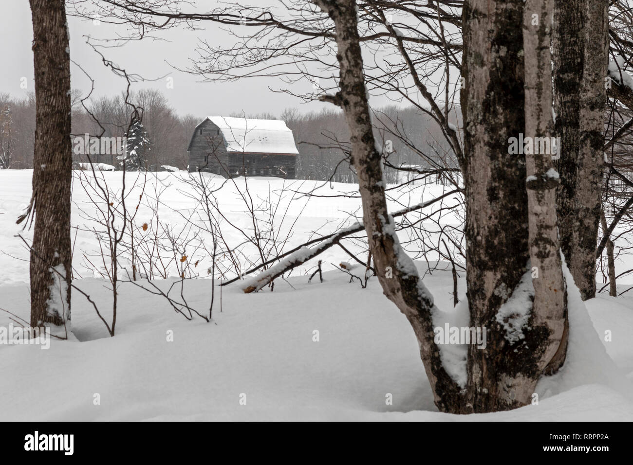 Eben Junction, Michigan - eine Scheune im Schnee in der oberen Halbinsel von Michigan. Stockfoto