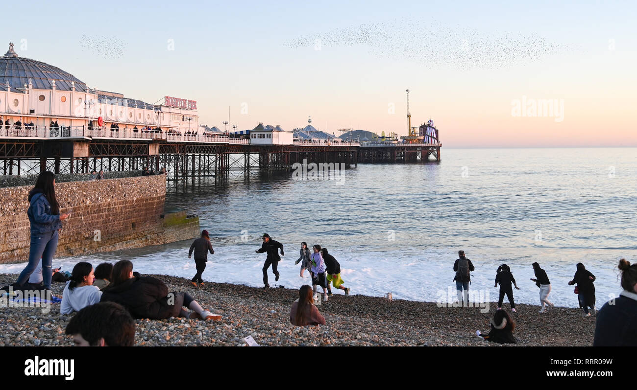 Brighton, UK. 26 Jan, 2019. Brighton Beach ist dieser Abend als ungewöhnlich warmen und sonnigen Wetter in Großbritannien weiterhin mit einigen Bereichen erreicht über 20 Grad Celsius wieder: Simon Dack/Alamy leben Nachrichten Stockfoto