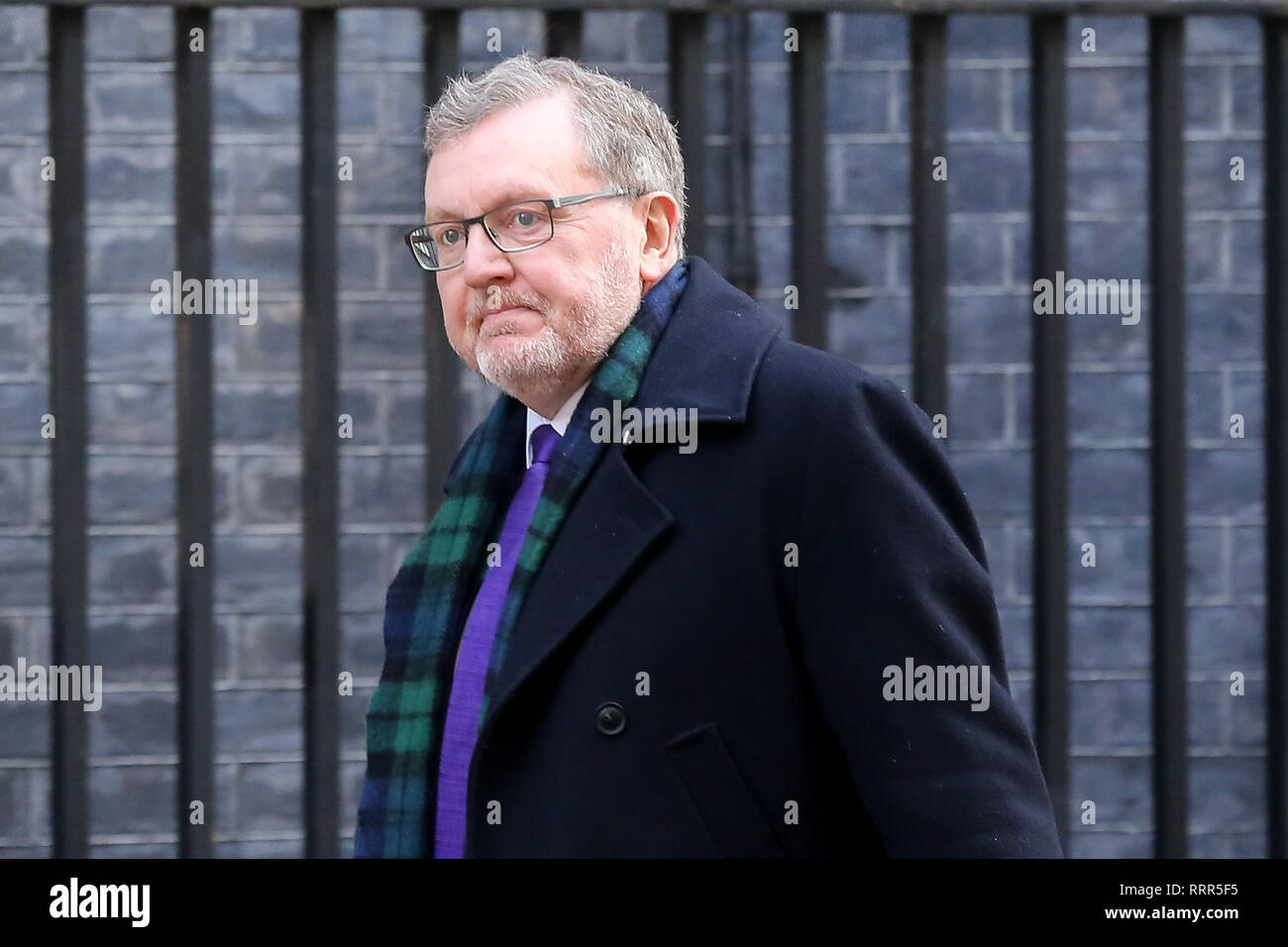 David Mundell - Minister für Schottland ist bei seiner Ankunft in der Downing Street die wöchentliche Kabinettssitzung teilzunehmen, gesehen. Stockfoto