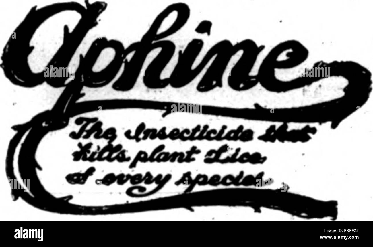. Floristen Review [microform]. Blumenzucht. Die Aphine Manufacturing Co Caterer, Floristen und Gärtner Hersteller von. Der anerkannte Standard Insektizid. Ein spray Hilfsmittel für Grün, Schwarz, Weiß fliegen. Rote Spinne, thiips, mehlige Bug und weichen Maßstab. e FUNGINE eine unfehlbare spray Remedy für rose Mehltau, Nelke und Chrysantheme Zwieback VERMINE ein Boden Sterilisator für Ausschneiden, Aal. Kabel und Winkel von Würmern. Eine SCALINE scalicide und Fungizid für San Jose und verschiedenen Skalen auf Bäumen und Hardy bestand, und verschiedene blighte, die sie betreffen, zusammengefasst. "40% Nikotin" ein freies Nikotin. 40 % Stärke, f Stockfoto
