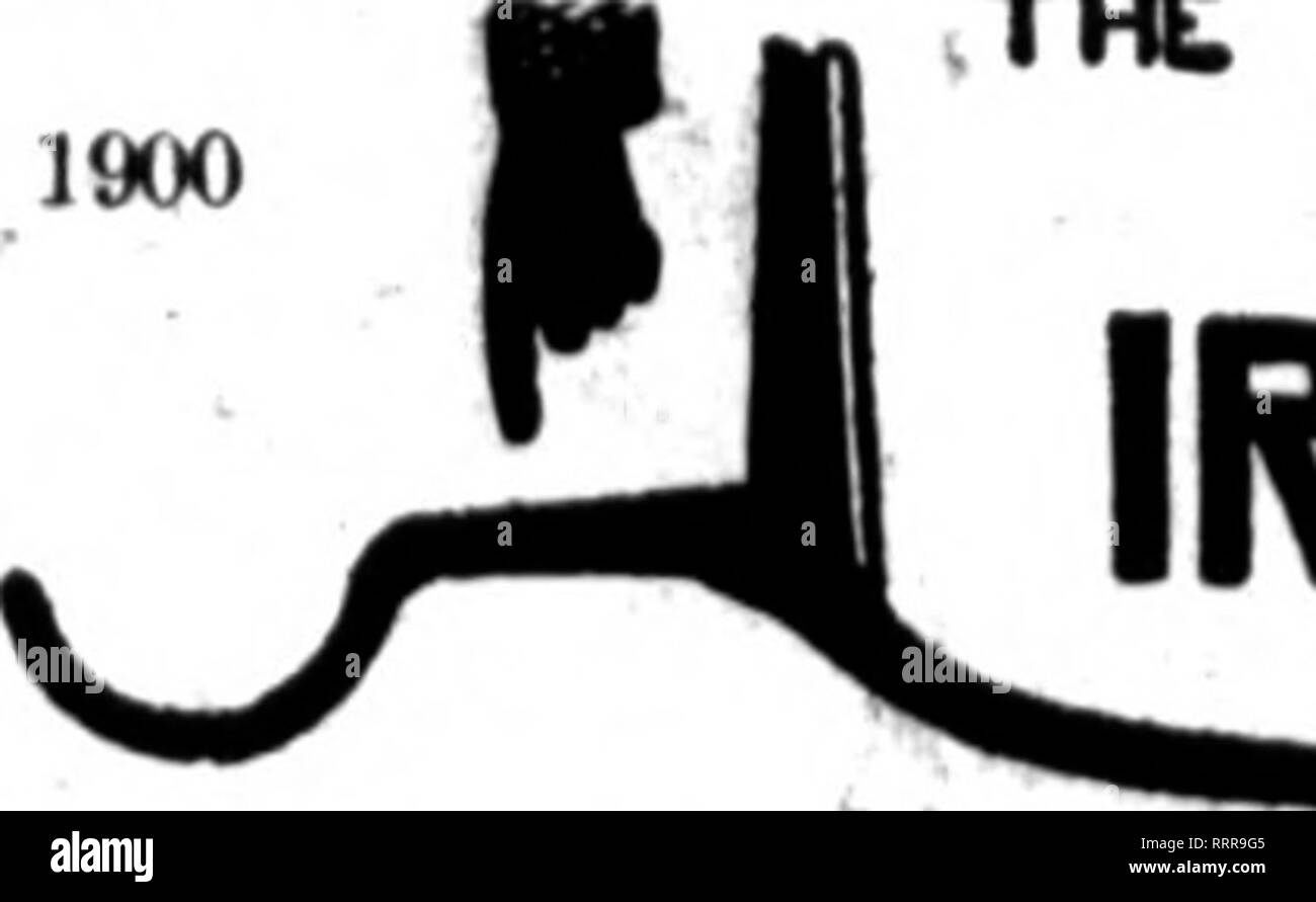 . Floristen Review [microform]. Blumenzucht. 36 Die Floristen^ Review JANUASY 21, 1915. Sek., die Sims. Pat. Sept. 18. ^* JENNINGS'*''' Eisen.. Bitte beachten Sie, dass diese Bilder sind von der gescannten Seite Bilder, die digital für die Lesbarkeit verbessert haben mögen - Färbung und Aussehen dieser Abbildungen können nicht perfekt dem Original ähneln. extrahiert. Chicago: Floristen Pub. Co Stockfoto