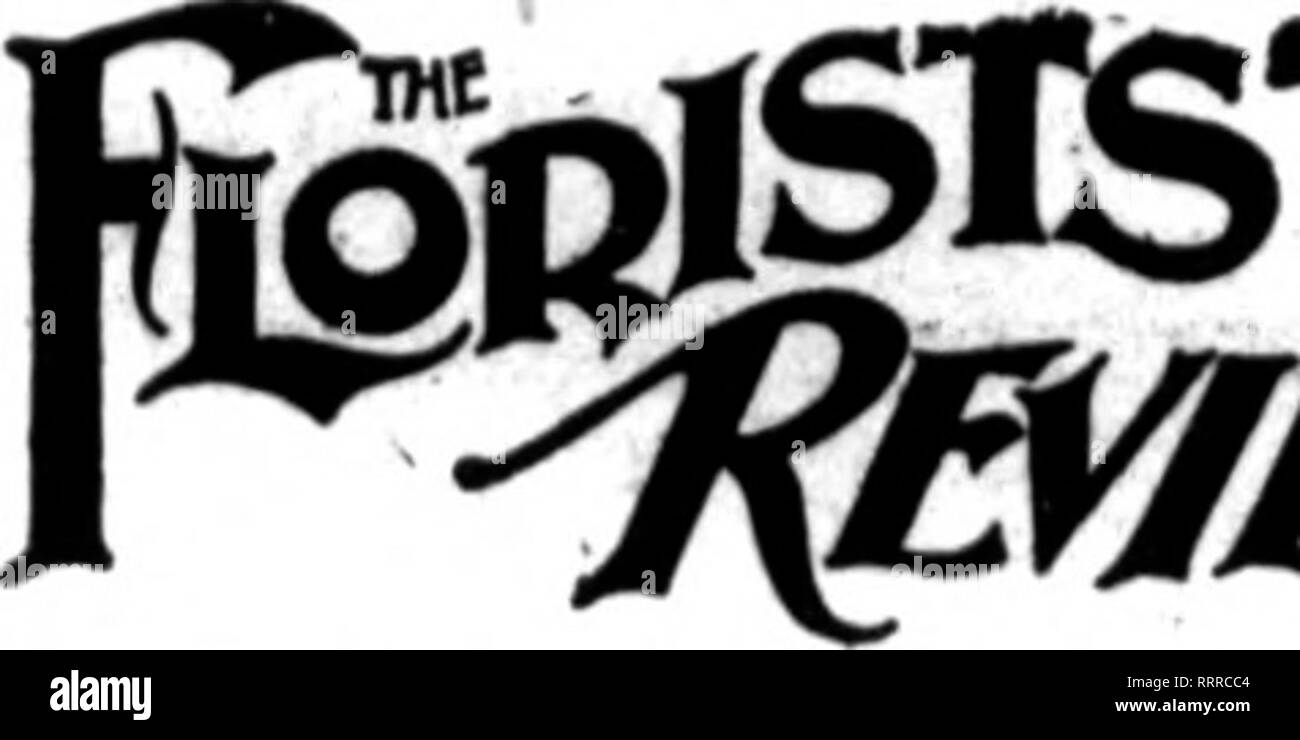 . Floristen Review [microform]. Blumenzucht. 2 i J:???? V. *?; A-r^^ Review Die Floristen NOTEMBB &Amp; 5, 1914. - Der Basset Gärten..' 60 Batavltf "Gi^c^Haus. - 26 Baumann &Amp; Co 27 Baumer, A. R47 Baur Floral Co I-f'9 Baur & Amp; Steinkamp.. 78 Baur Fensterglas. 83 Bauscher, John 48 Bayersdorf er&amp; Co. 32 Beaven, E.A34 Bemb Floral Co 45 Beneke. J.J 40 Benthey, F. J52 Berger Bros 30 Berke, G. H....... 40 Bemlng, H."^^. 62 Bertermann Bros.. 47 Beyer, Chas. 47 Beyer Floral Co 47 Blnley, A. J82 Blacklstone, Z. D... 42 Bobblnk&amp; Atkins.. 70 Boddlngton Boldt-Lnndy ich Flo. S Stockfoto