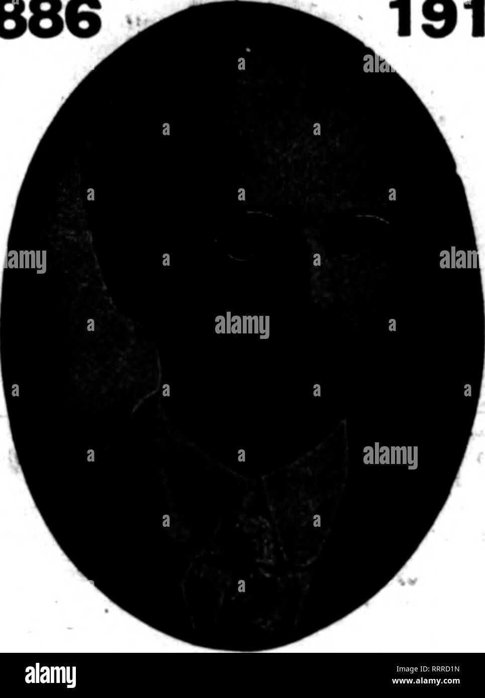 . Floristen Review [microform]. Blumenzucht. p; r'TE^''&gt;'"; t1 F-:";'^" T&lt; * T-• "Dbcbmbbb 24, 1914. Die Floristen^ 39 Farne Galax Moss HAUPTQUARTIER FÜR DIE SÜDLICHEN WILD SMILAX 50-lb. Fall, $ 4,50; 5 oder mehr Fällen, $ 4,00 pro Fall N" w Paaey Wmnm pro 1000. 1,75 $ Ttr "Mi und Bronx * L" ueotho "Sprays ForUO 10.60 nrlOOO um buchsbaum Sprays Pnlb | 0. ao PtroMe. 50 Ibi.. 17,00 Bronze QALAX BLÄTTER Par 1000. $ 1,00 pro Cue von 10.000 7,60 10.000 PercMeof QREEN QALAX BLÄTTER 7,60 Moxlcan Ivy Pro 100 60 c Pro 1000S 5,00 FerbAlt I1.2K 6 Balai. P6 rlMl", Tl. U10 Tele viel oder mehr, je Ballen 1,00 Brooa Sh Stockfoto