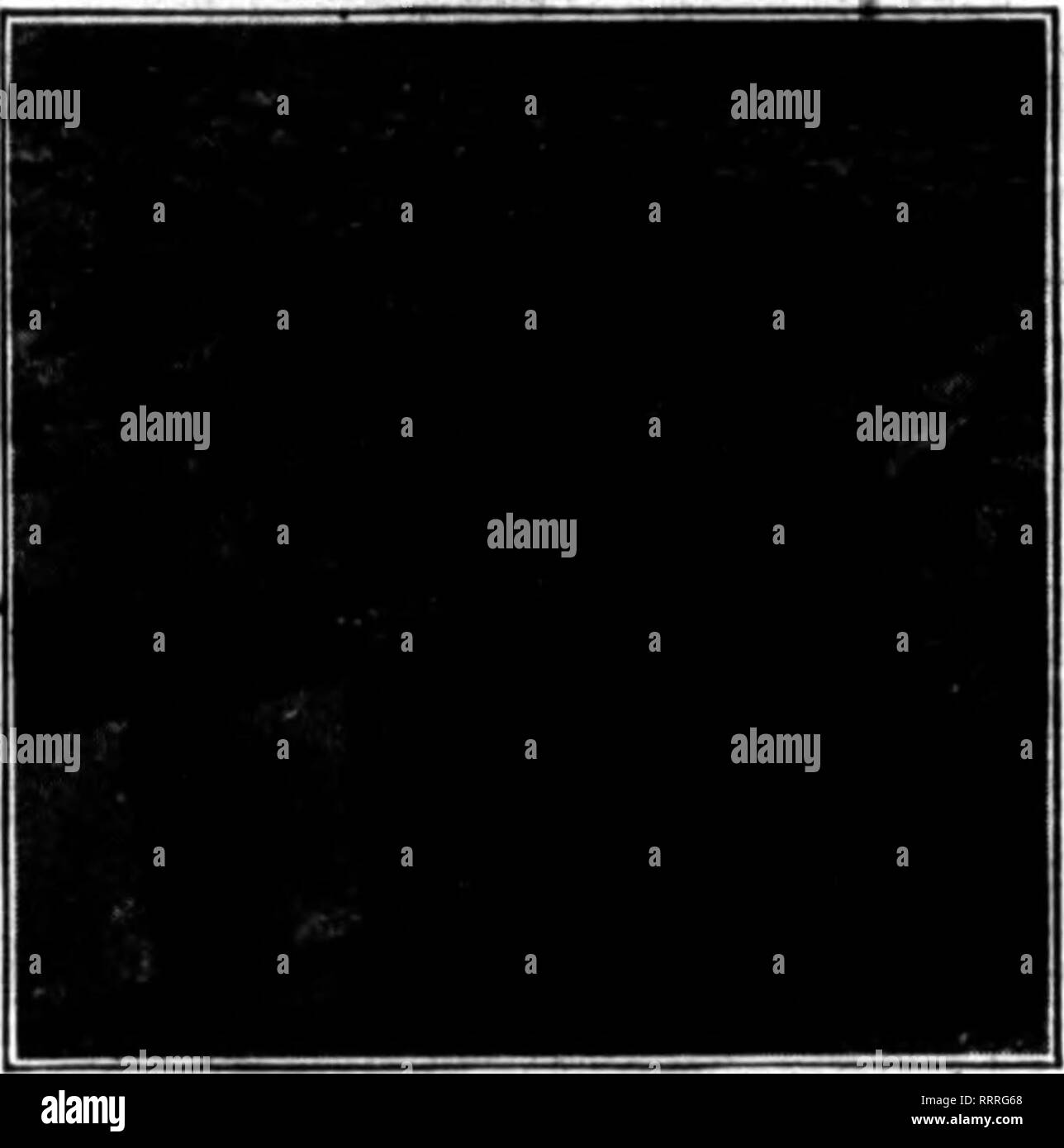. Floristen Review [microform]. Blumenzucht. E.Allan Peirce 400 Eichen Str* "t Waltkam, ti Mast. rCREENHOUSE FLIESE BÄNKE (Lehm gebrannt, gleiche aa Blumentöpfe) sind schnell an die Stelle von Holz. Unsere Bänke sind leicht errichtet und werden ein Leben lang. Uns heute Schreiben bezüglich ihrer Feder Anforderungen. Kann nicht CONDUIT CO., CleTeland, 0. ROCHELLE PAPIER TÖPFE DIBT BANDS IPapsr Töpfe wltliout bottoma. Zeitungen belnf auf Tbo Sitzbank (oder Böden.) Zoll 1000 6000 10.000 20.000 50.000 100.000 1% $ 0,50 $ 1,80 $ 3,40 $ 6,25 $ 14,00 $ 26,00 2 60 2,00 3,75 7,00 16,00 80,00 214 70 2,40 4,40 8.2 verbreiten. T 19,50 37,00 Stockfoto