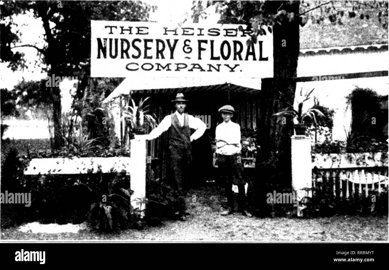 . Floristen Review [microform]. Blumenzucht. 14 Die Floristen^ Review NOVE. MBKK beleuchtet!, 1!) 14. Butler County Fair Exponat der Heiscr Baumschule & Amp; Blumig Co.sijiiK I. 'ICH' lic f'liiipaiiy ist seine oiitcrinjj Teiitli yc' ir-ami Ii (l aiiciuijf in business Willi iiatiiiai^ rowtli dieses thriv-int: rWy. HEISER VON HAMILTON. Lleiser Tlio ein - die Baumschule i^Floral (o. Es war diese Con-Roon erste attemjit zu einem exhiliition, wie der l&gt; usinoss Avas übernommen, die nur ein Jahr ein;.' o auf Th (&gt; Abgang von damals. ] Ioek, jetzt iie&lt;', easeil lonji im l) Usiness an] fainilt (Tn. Die Anzeige "ronsiste Stockfoto