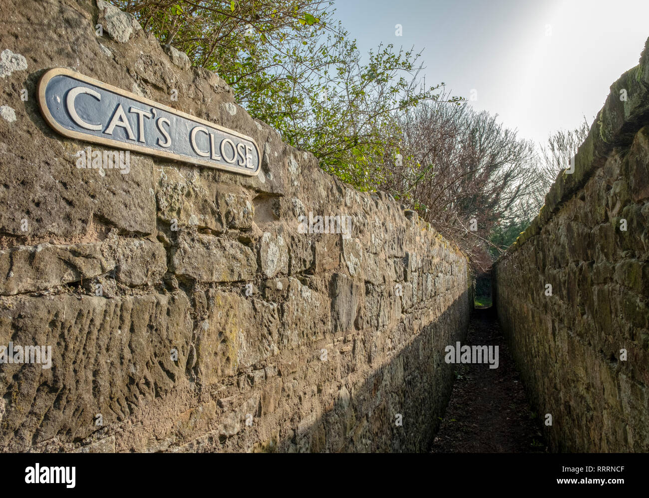 Katzen in der Nähe, eine kleine Gasse in dem historischen Dorf folgende Sehenswürdigkeiten: Culross, Fife, Schottland. Stockfoto