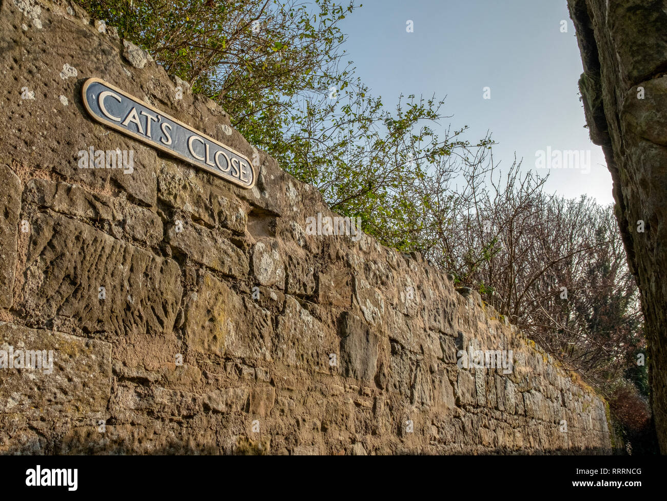 Katzen in der Nähe, eine kleine Gasse in dem historischen Dorf folgende Sehenswürdigkeiten: Culross, Fife, Schottland. Stockfoto