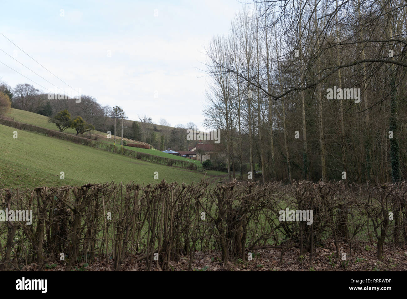 Landschaft mit Scheune Szene in Hampshire Liphook Stockfoto