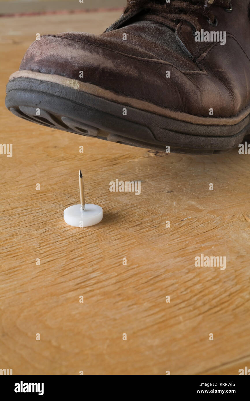 Nahaufnahme eines erhöhten Schuh über einen Jumbo reißnagel auf Sperrholz, mit Schritt Stockfoto