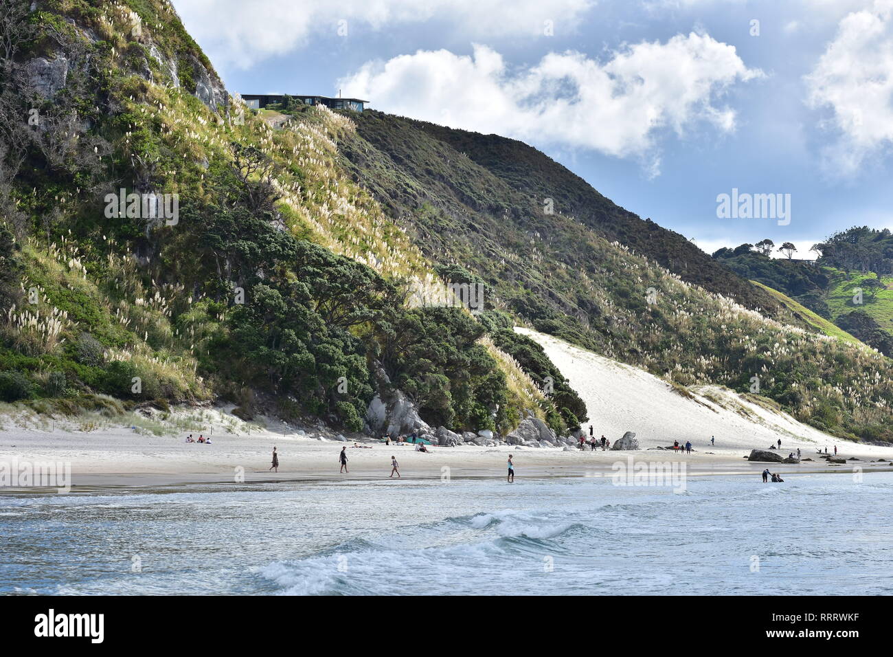 Sandstrand mit ozeanischen Surfen und steilen Klippen direkt dahinter in Neuseeland Northland. Stockfoto