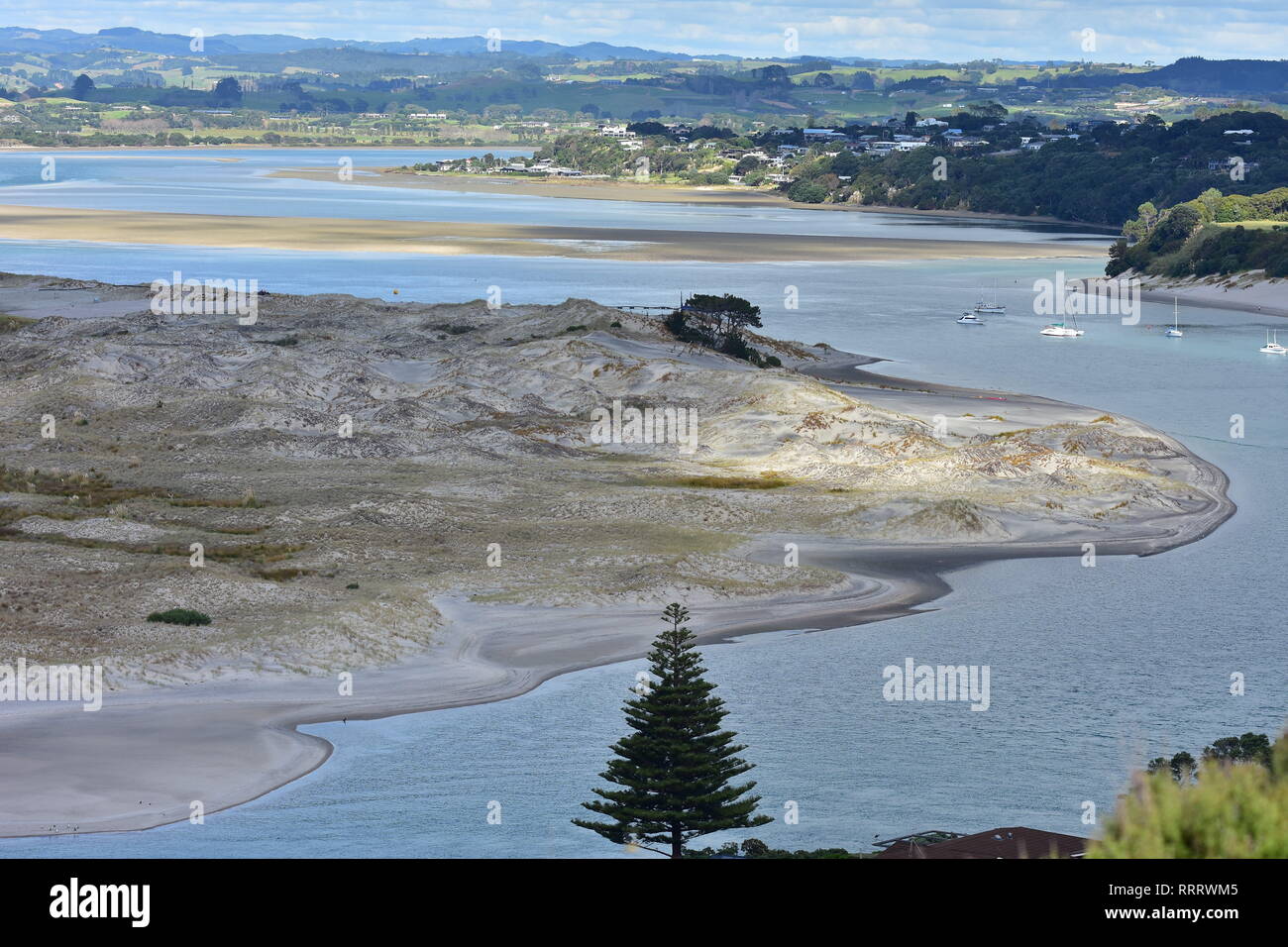 Mangawhai Hafen mit Sandbänken und Dünen mit feinem hellen grau sand und einige native dune Unkraut. Stockfoto