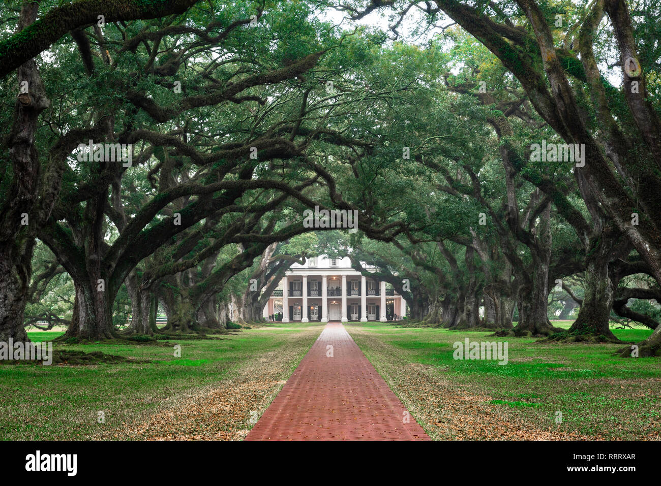 Oak Alley Plantation USA, Sicht auf die von Bäumen gesäumte Annäherung an das Grand House in Oak Alley Plantation (heute ein Museum), Louisiana, USA Stockfoto