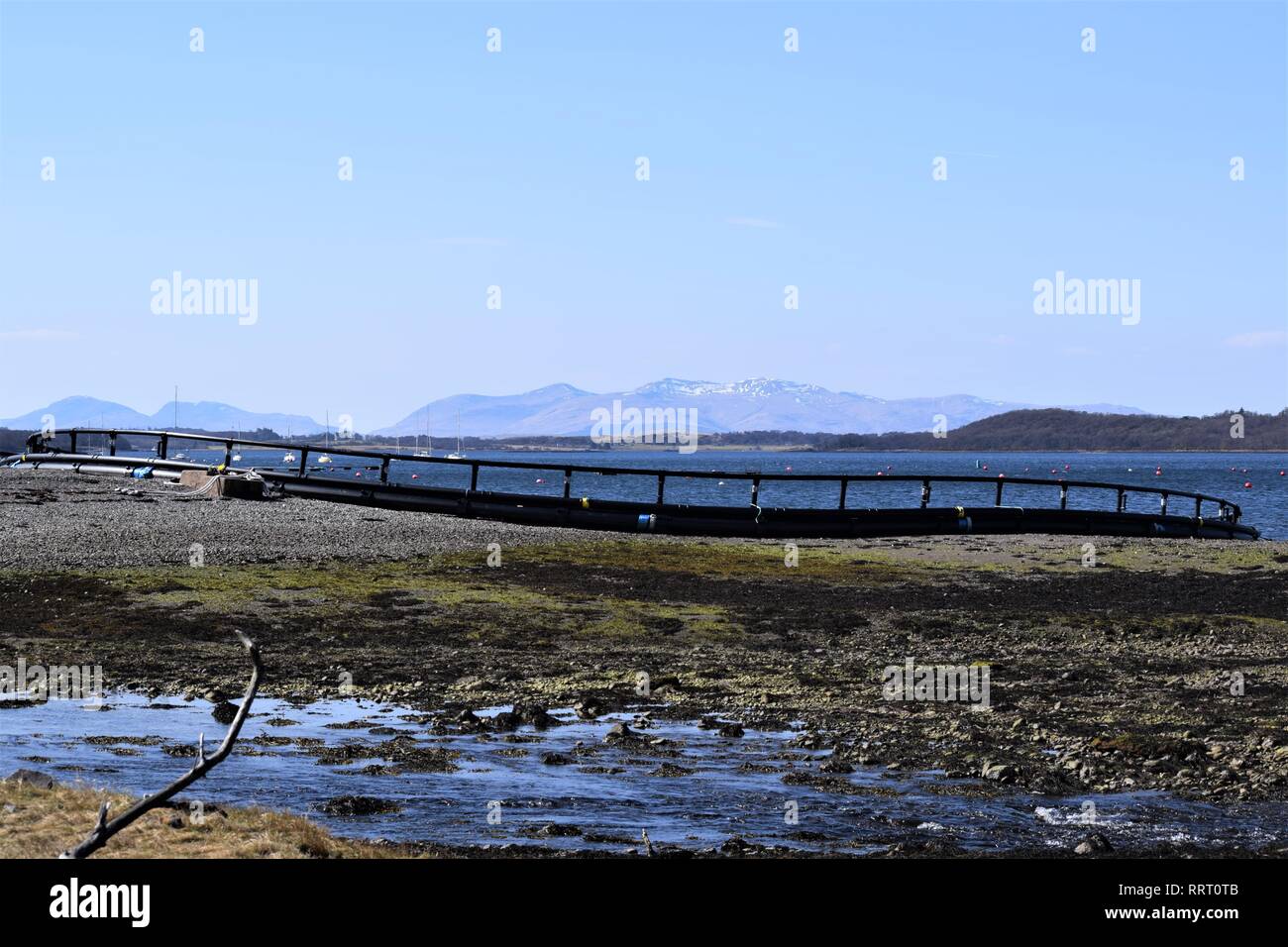 Schwimmende fische Käfig von HDPE-Rohre für die Lachszucht, im Bau am Ufer des Loch Creran, Argyll. Herrlichen blauen Himmel und die fernen Hügel. Stockfoto