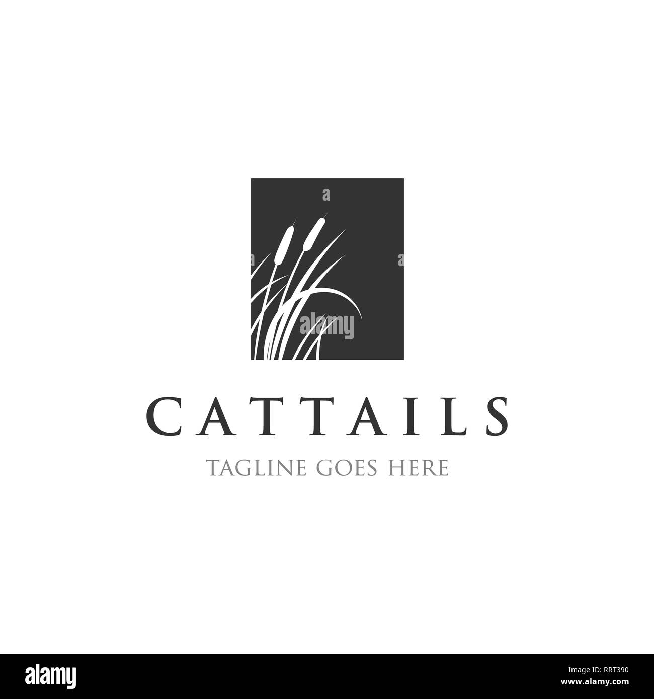 Cattails/Reed Logo Designs Inspirationen Stockfoto