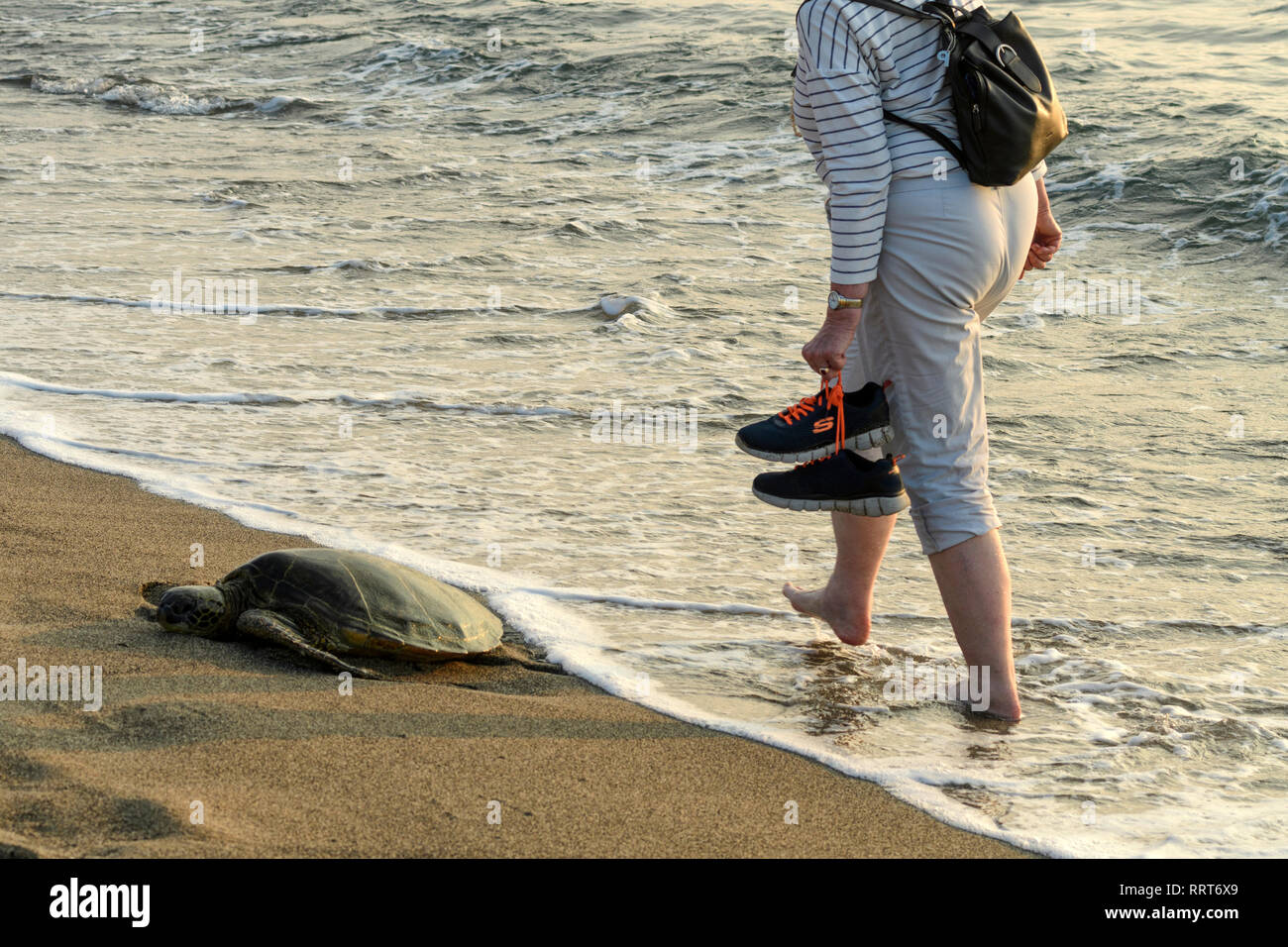South Pacific, USA, Hawaii, Hawaii, Insel, Big Island, Frau am Strand turtel vorbei gehen. Stockfoto