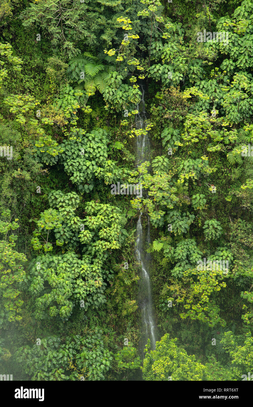 South Pacific, USA, Hawaii, Hawaii, Big Island, Wasserfall nördlich von Hilo Stockfoto