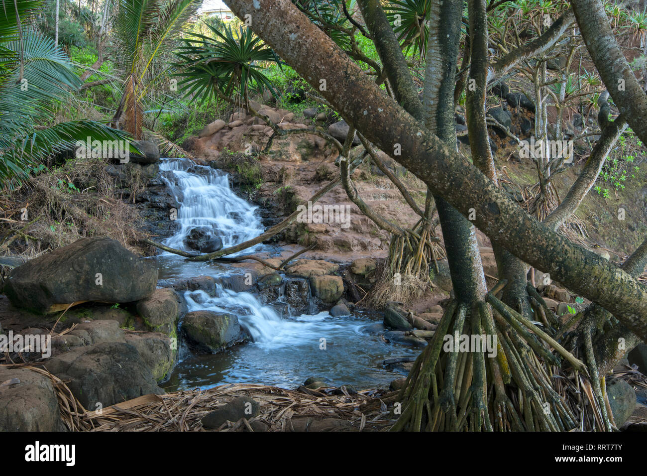 South Pacific, USA, Hawaii, Hawaii, Insel, Kauai, versteckten Wasserfall an der Nordküste Stockfoto
