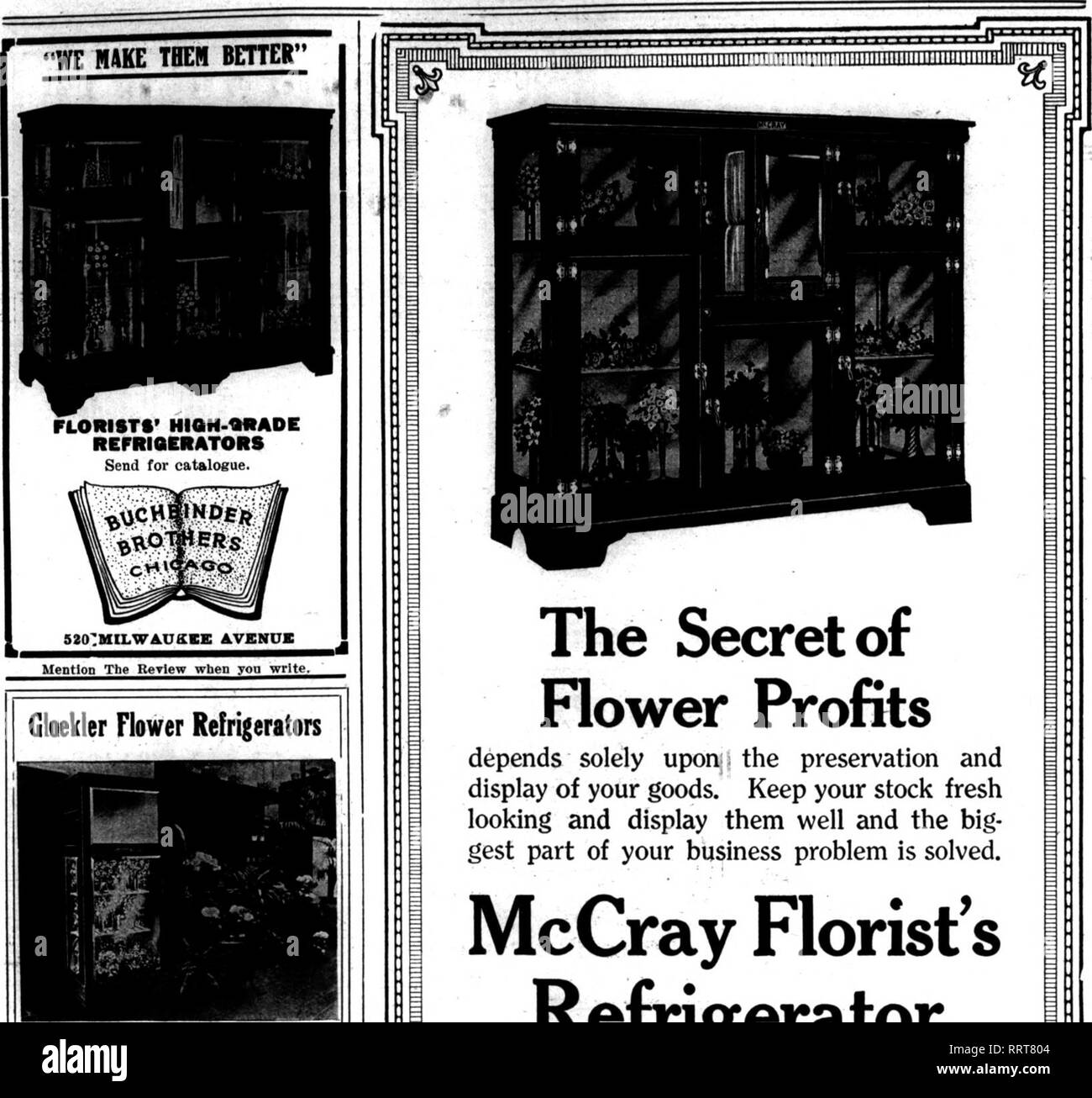 Floristen Review Microform Blumenzucht Ri August 12 1915 Die Floristen Review 29 Gloekler Blume