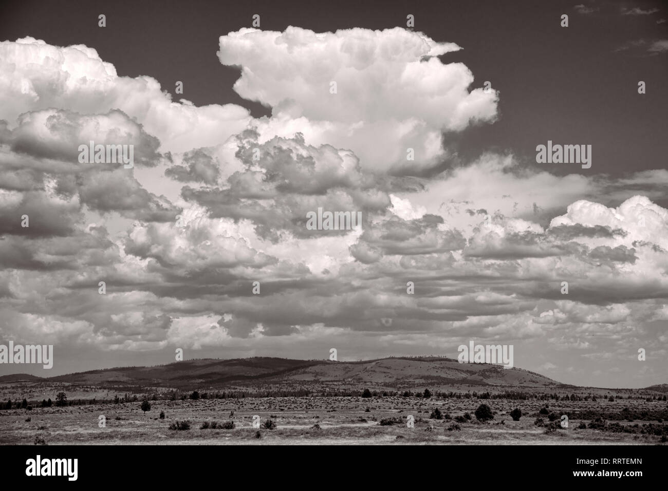 Nordamerika, Amerika, American, USA, Pacific Northwest, Washington, Wolken auf Warm Springs Indian Reservation Stockfoto