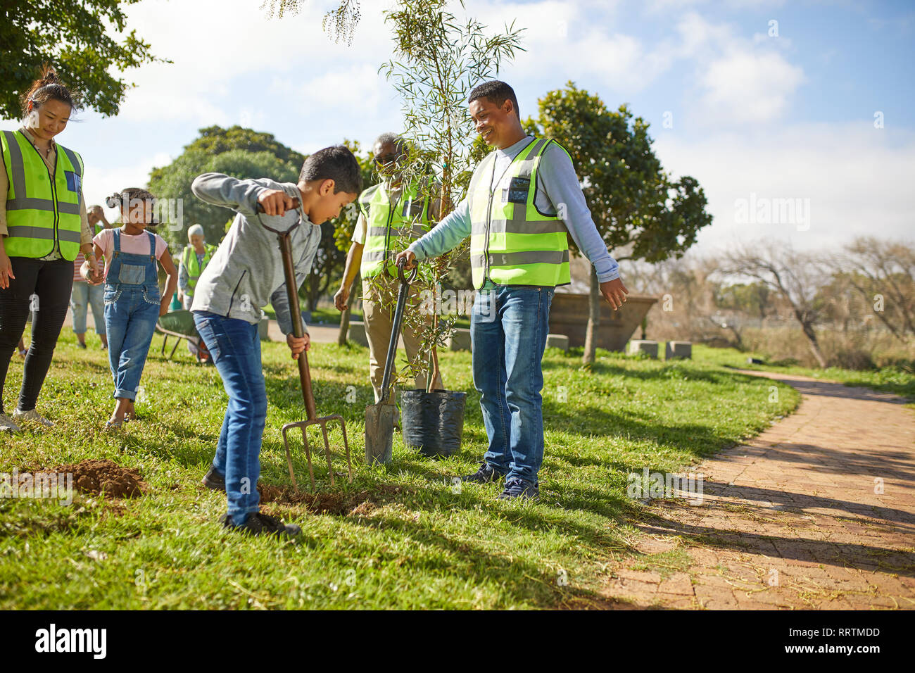 Multi-Generation, Familie freiwillige Anpflanzung von Bäumen im sonnigen Park Stockfoto