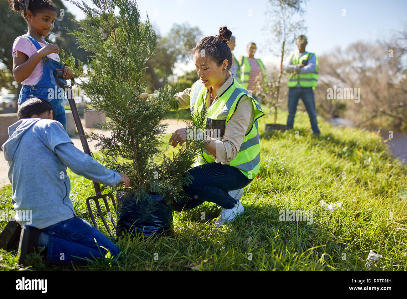 Frau und Kinder freiwillige Pflanzen Baum an sonnige Campingplatz Stockfoto