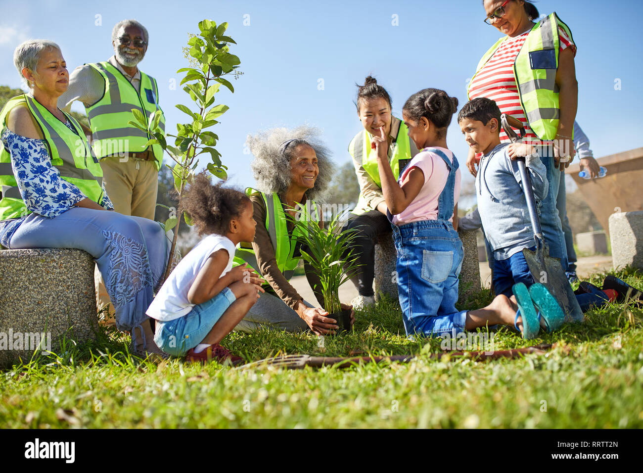 Freiwillige Anpflanzung von Bäumen im sonnigen Park Stockfoto