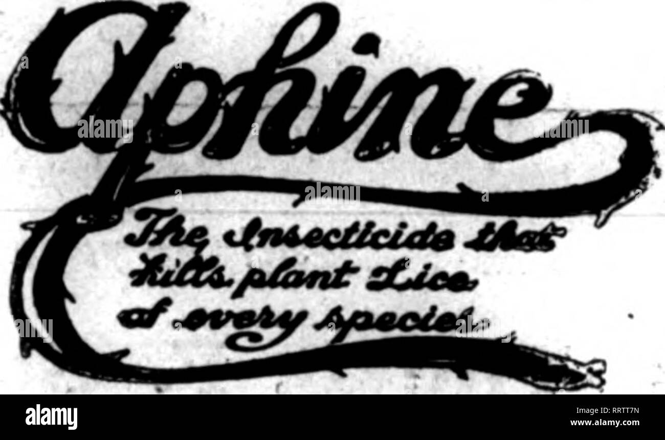 . Floristen Review [microform]. Blumenzucht. (Beachten Sie die Ringe, die APPE/kR) ^.^ ONR FUSS ABSTÄNDEN erleichtert - "^(schnelle und genaue MEAhURINQ) RINGMETER - Der Garten Schlauch für Floristen' verwenden, weil: Es ist In der kontinuierlichen len ^s von 500 Fuß auf Rollen ausgestattet - keine Notwendigkeit des Denkens der verschwenderischen kurzen Enden. RinifB aus Gummi erscheinen jeden Fuß und Si&gt; aced genau einen Fuß auseinander macht es Selbst. measurinfr. Nur eine rlni; für jeden Fuß, wie Sie die Haspel entspannen. Schnelle und präzise. Kein Fehler. Größter Sorgfalt tritt in den Bau; nur die besten Materialien Stockfoto