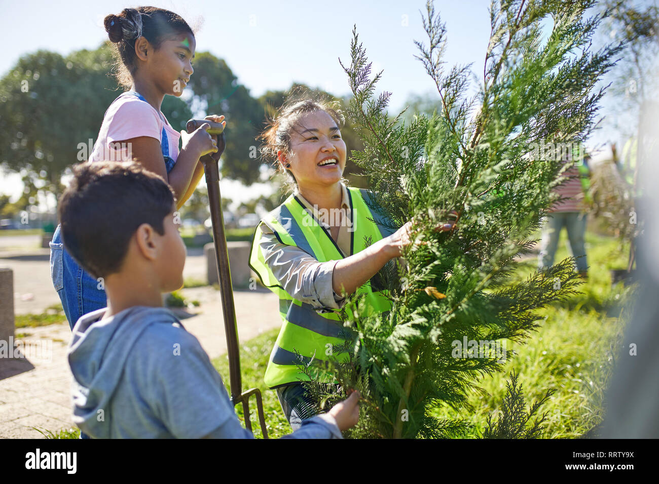 Mutter und Kinder freiwillige Pflanzen Baum im sonnigen Park Stockfoto