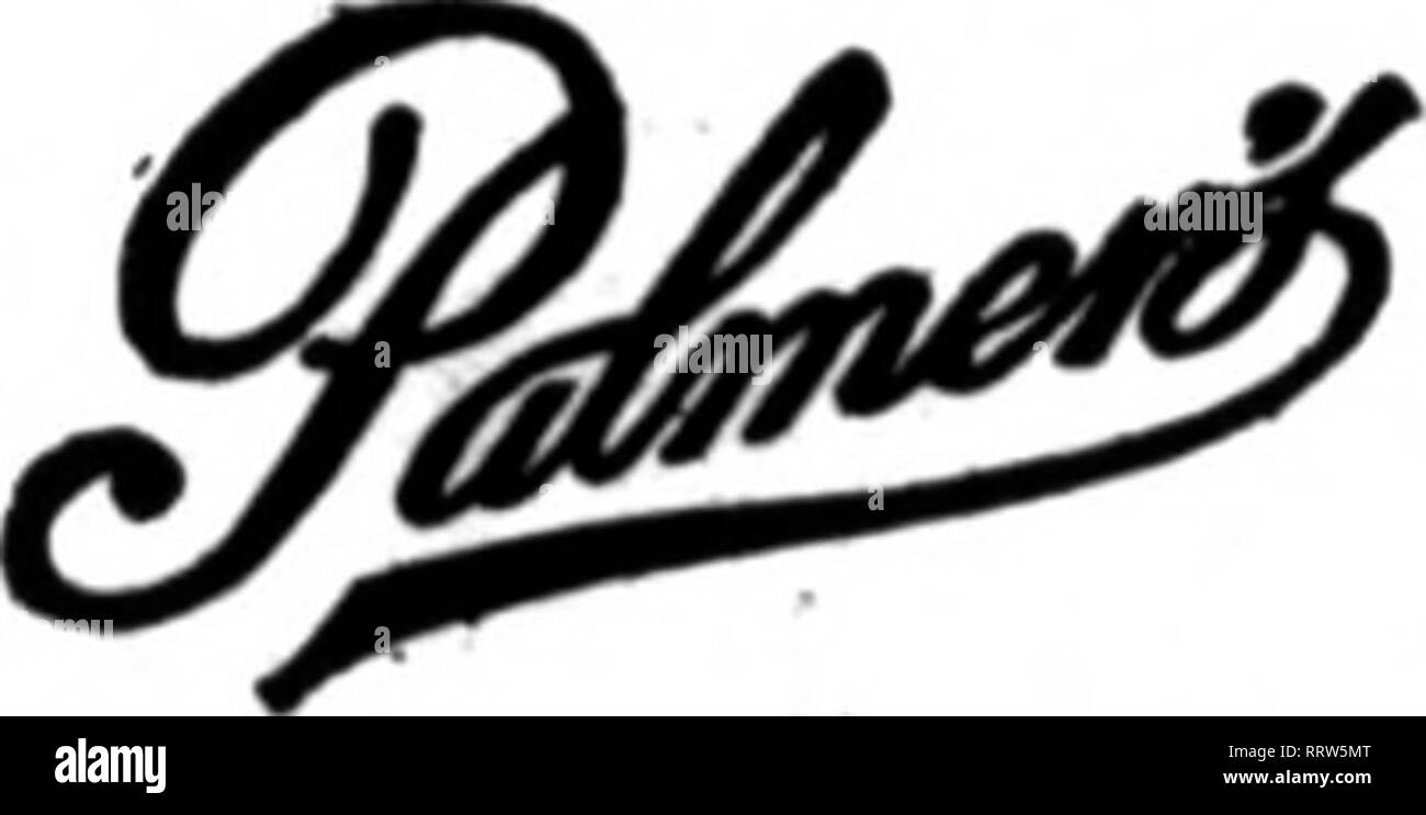 . Floristen Review [microform]. Blumenzucht. Alles rirst - Clasa Uth und H Straßen KALIFORNIEN FLORIST TACOMA, Waschen. Bestellungen für Blüten und Desieos de-livered überall in den Vereinigten Staaten und in Kanada. Lexington, Ky" QUALITÄT BLUMEN JOHN A. KELLER sein?. etb Straße Membar V. T. D. Dom von Bischof A. S. Lloyd. In seiner Predigt nahm er eine Innenansicht der revelatipn Gottes in Blumen und in der ganzen Natur. Die Kirche wurde großzügig mit Pfingstrosen, Pflanzen und smilax Für den Anlass gestaltet. Dave Geddis hatte seine ganze Kraft bei der Arbeit die ganze Nacht Mai 15, Vorbereitung der Bates-Garneau wedd Stockfoto