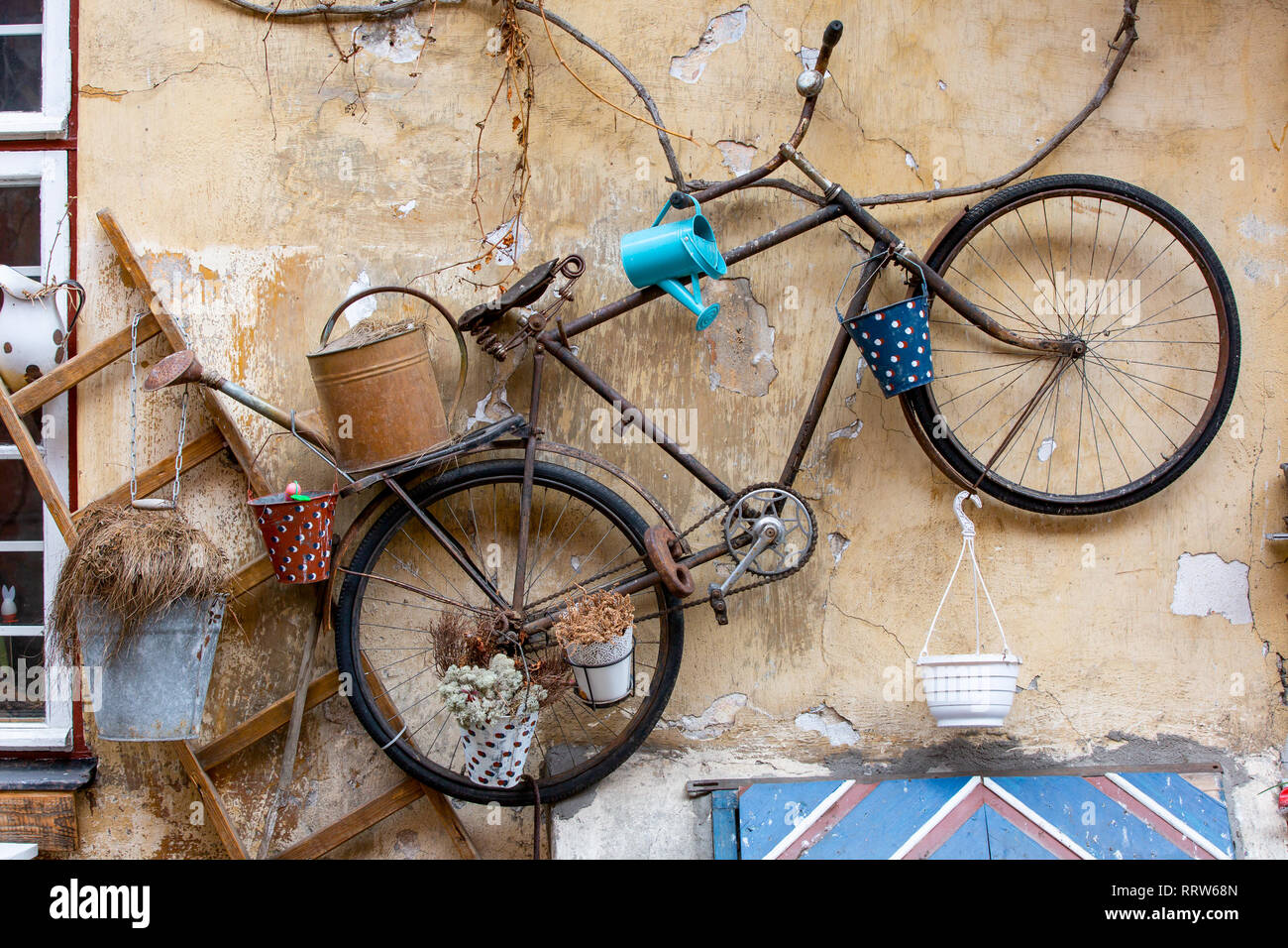 Altes Fahrrad und verschiedene Pflanzenpflege schmücken die Wände des alten Hauses. Neues Leben in alten Sachen Stockfoto