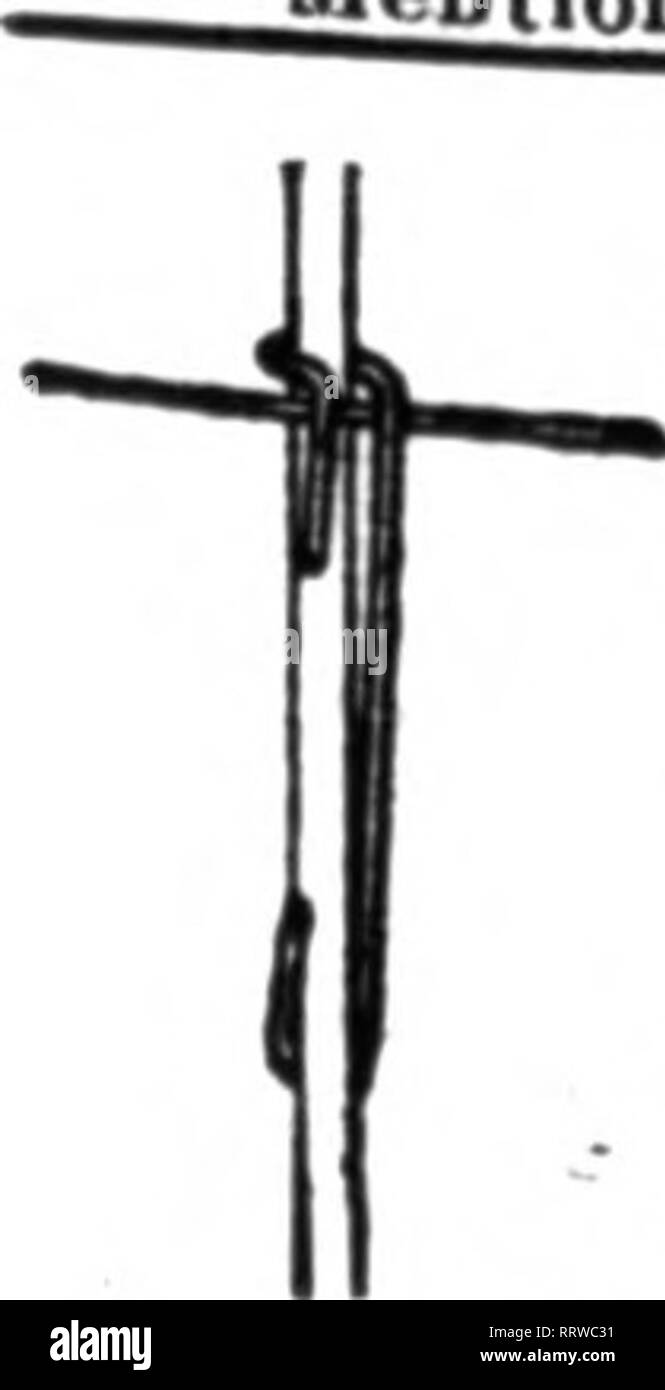 . Floristen Review [microform]. Blumenzucht. Sae-Zeit in der Kultivierung der Pflanzen. Gerader, Stiele, schneiden können in weniger Zeit, als wo Zeichenfolgen verwendet werden, ohne das Risiko von schneiden die Saiten. Für Preise Schreiben. Auch auf Rose Stakes. Adler Maschine arbeitet Richmond, Indiana erwähnen die Überprüfung wenn Sie schreiben. Rost PROOrv STAXJ: FA.STE/fE^ lS Cwrwfta pro 1000 $ 1,60 pro 1000 $ 2.80 € t August Corts Sohn MTYNCOTt. * K erwähnen die Überprüfung beim Yoo schreiben. BLAKE'S HEBEL CLIP für Rosen. Carnationa usw.; fas-zehn Stangen, Drähte usw. Sie nie Rutschen und sind eine große SAV-ing von bi th Zeit und Geld. Stockfoto