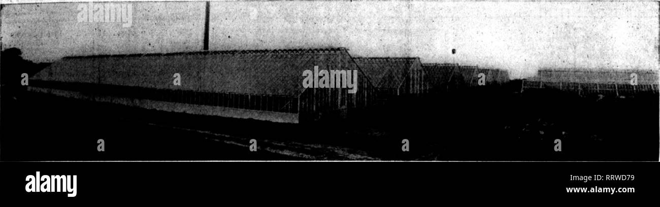 . Floristen Review [microform]. Blumenzucht. • S. Juli 3, 1913. Die Floristen Review 101 "S. H. M. Weiss und Söhne Co., von Hatboro Pa., gefunden haben, durch Erfahrung die Haltbarkeit von L.&amp; B. Häuser haben wir Gebäude Herr &Amp; Barnbam Häuser für die letzten fünf Jahre, in welcher Zeit wir sieben aufgebaut haben. Sie werden von der riesigen Arch Bau mit Rohr Pfetten und Ice-Clearing eave Platte. Wir finden diese Häuser für alle sein, die für die Stärke und Dura gewünscht werden. Betrachten wir in der nahen Zukunft, und sureiy Herr &Amp; Burnham Bau wird es sein. Ihr sehr wirklich Stockfoto