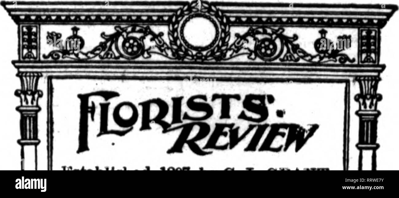 . Floristen Review [microform]. Blumenzucht. Gegründet 1897, durch G. L. gewähren jedem Donnerstag durch die Pi-oriots Publishing Ck veröffentlicht)., 539-660 Oaxton Gebäude. 508 South Dearborn St., OhlcafifO. Tele., Harrison 6429. Eingetragene kabel Adresse, Florvlew, Chicago. Als zweiter Klasse Sache Dok 3,18 S&gt; 7, an der Post am Chi cago eingetragen, 111., gemäß der Beitrittsakte März 8,1879. Abonnement Preis, $ 1,00 pro Jahr. Nach Kanada, $ 2,00; Euroiie, $ 3,00. Werbung angegebenen Preise auf Anfrage. Nur strikt Handel ad-vertising akzeptiert. 800 IETT oder AXKIOAV IX 0 BI 8 T 8. laowpwatod der durch das Gesetz vom Otmgt-B, ICa Stockfoto