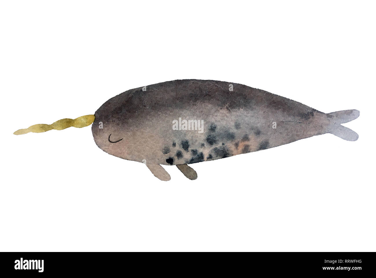 Auf weissem Hintergrund niedlichen Hand gezeichnet Aquarell narwhale für ihr Design, Logo, Postkarte, Textil- und anderen isoliert. Stockfoto