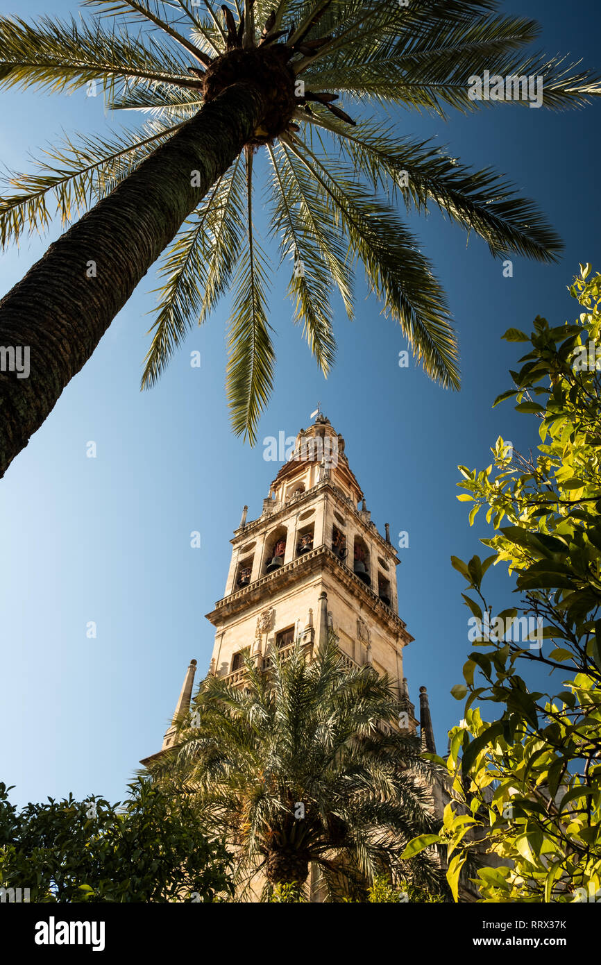 Torre de Campanario mit Palme Stockfoto