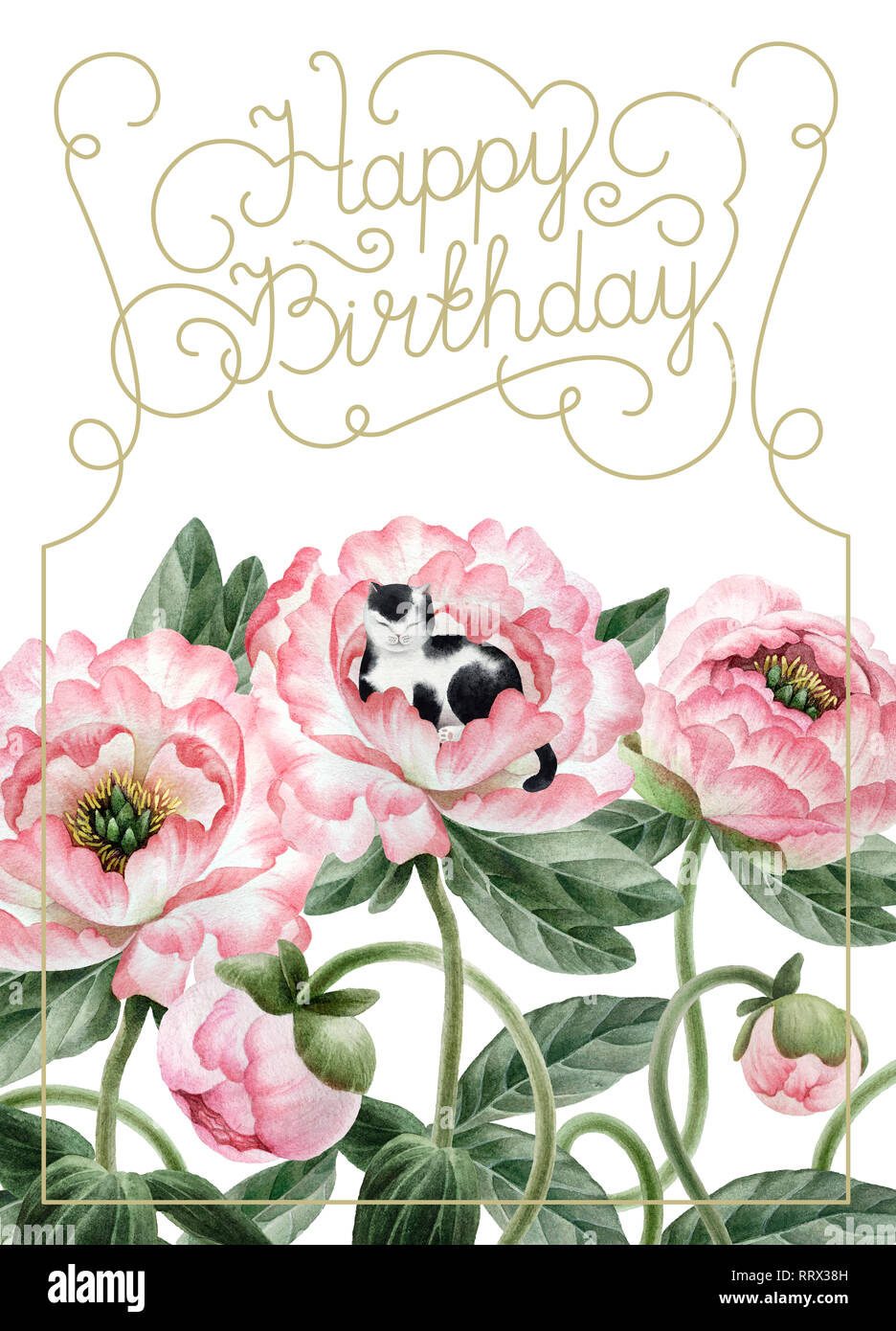 Blumenstrauß aus schönen Aquarell Pfingstrosen, Katze und Beschriftung auf weißem Hintergrund. Botanik aquarell Pfingstrosen für Design, Postkarten, Banner, e Stockfoto