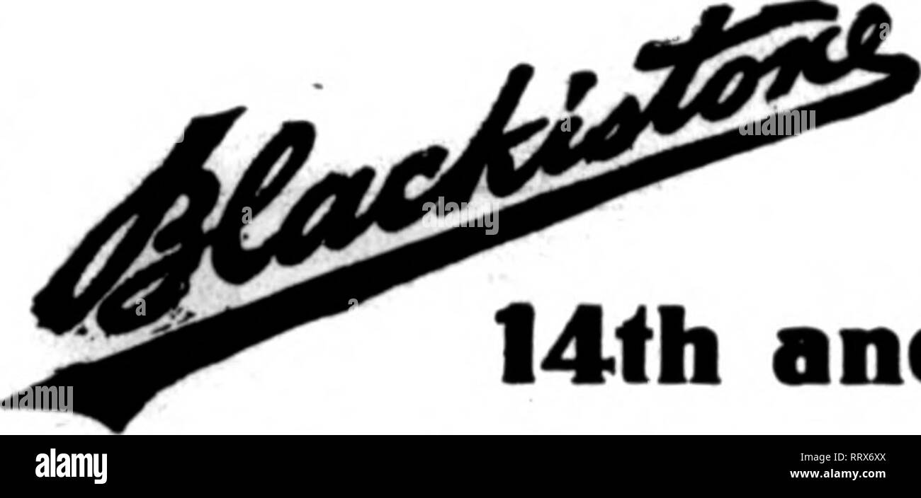 . Floristen Review [microform]. Blumenzucht. Wm. L Rock Flower Co. KANSAS CITY, MO. 1106 Grand Avenue Mitglieder Floristen * Telegraph Lieferung caxefuUy führen Aufträge für Kansas City und jede Stadt in Missouri und Kansas. Aufträge für Washington D.C. und Umgebung. Alles First-Clasa 14 und H Sfreeli SCRIMPS, FLORIST Ottawa, Kanada, ST. LOUIS. Die Südwestliche Markt. Die Woche endet am 18. Januar war ein Versuch, eine für unseren Großhandel Männer, wie sauber die Verkäufe nicht in Frage. Lager aller Art war mehr als die Nachfrage könnte zu verbrauchen. Eoses waren die einzigen Blumen, die sich gut verkauft, wie einige o Stockfoto