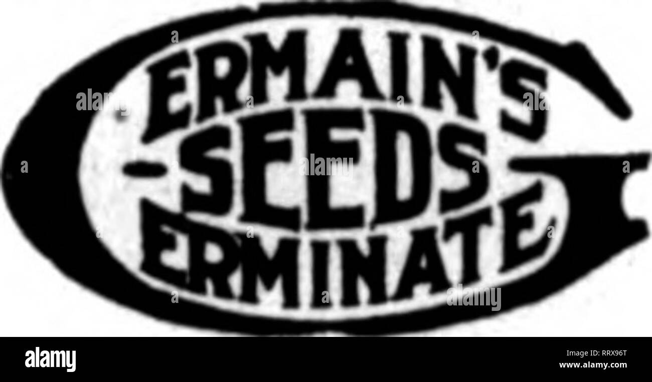 . Floristen Review [microform]. Blumenzucht. Dbcbmbeb 12, 1912. Die Floristen^ Review 105 sae POINSETTIAS FÜR WEIHNACHTEN AUCH PAPIER WEISS UND CHINESISCHEN NARZISSEN Alle speziell für lange Distanz Versand * Vorbereitet. Die größte einzelne Züchter auf dieser Küste. 20 Morgen zu nichts, aber die Wahl Blumen gewidmet. HlkY g^A i^T^i^i^Großhandel riorisis ii 4 Liefert f jk l/^1. IN. CjACsL CU. 534 s. Broadway, Los Angelcs, Cdl. Ich erwähne die ReTtew wenn Yon schreiben. Zuckererbsen säen die rentabelsten Erntegut Mrnna zu folgen. Lesen Sie, was unsere Kunden sagen unsere Samen: Los Angeles, Oal., 07.11.27.1912. Oermaln Stockfoto