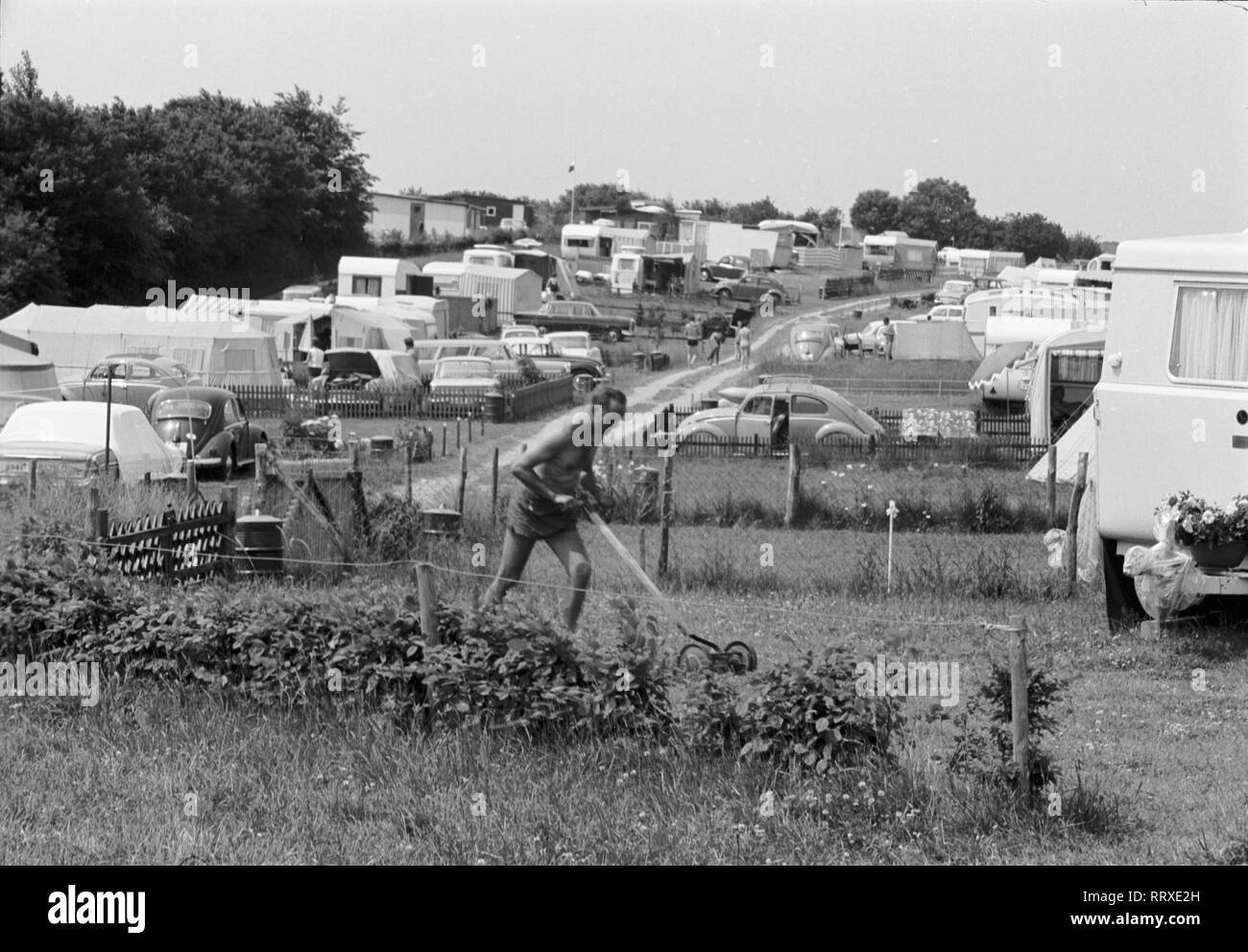 VW-Käfer-VW, Käfer, Käfer, Campingplatz, Hecke, Zelte, Wohnwagen, Autos, Menschen, Freizeit, Freizeit, Ferien Stockfoto