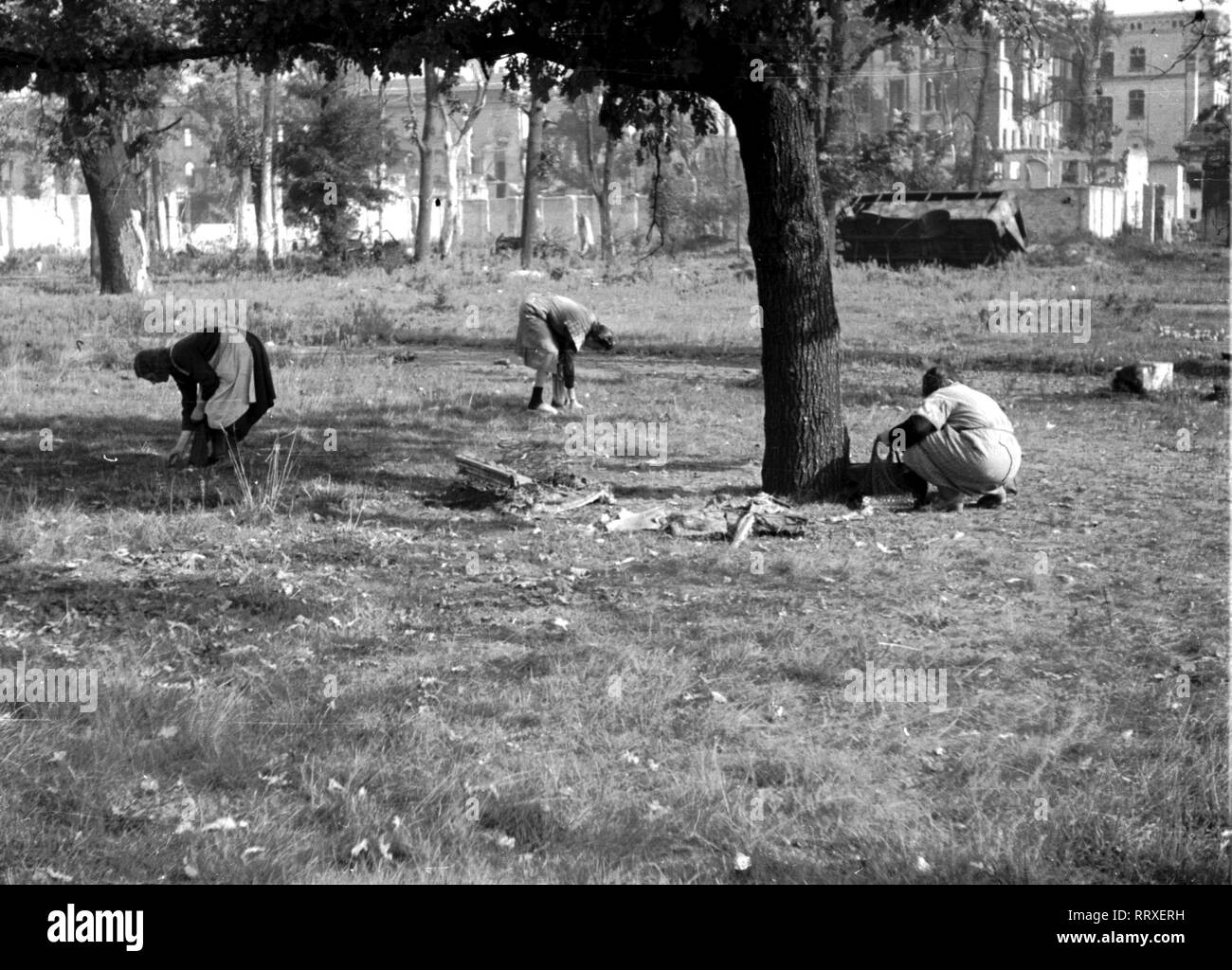 Trümmerfrauen 1946 -Fotos und -Bildmaterial in hoher Auflösung – Alamy