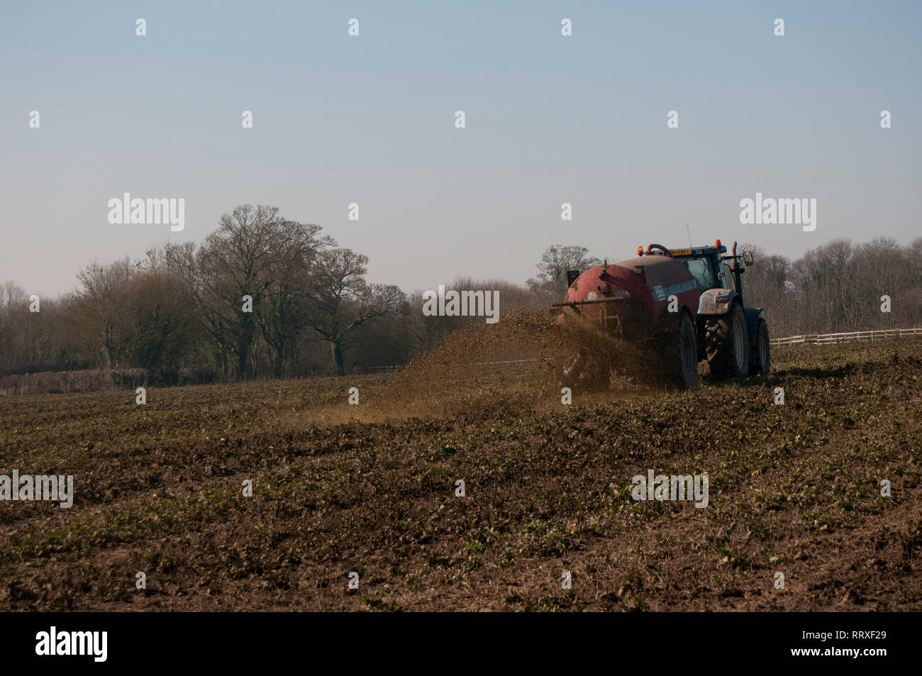 Muck Verbreitung auf einem Bauernhof mit einem Traktor Stockfoto