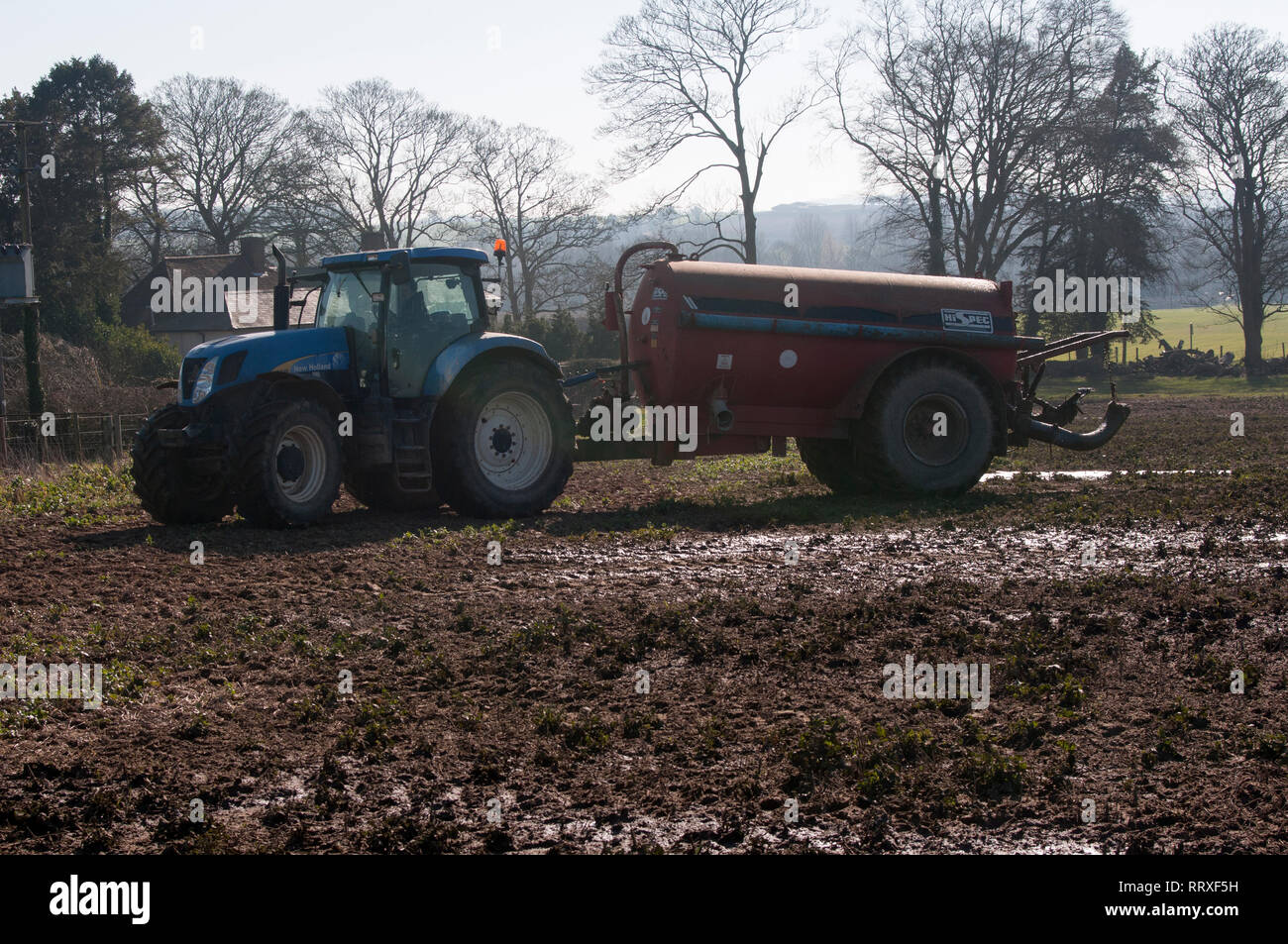 Muck Verbreitung auf einem Bauernhof mit einem Traktor Stockfoto