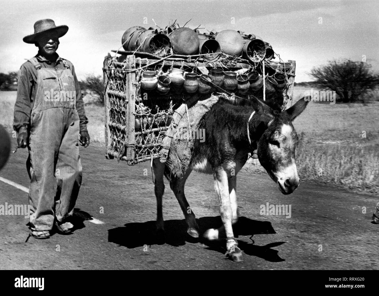 Reisen nach Mexiko - Mexiko - Bauer mit seinem pack Esel auf dem Weg zum Wochenmarkt. Bauer mit seinem Bepackten Esel unterwegs zum Markt. Bild Datum ca. 1962. Foto Erich Andres Stockfoto