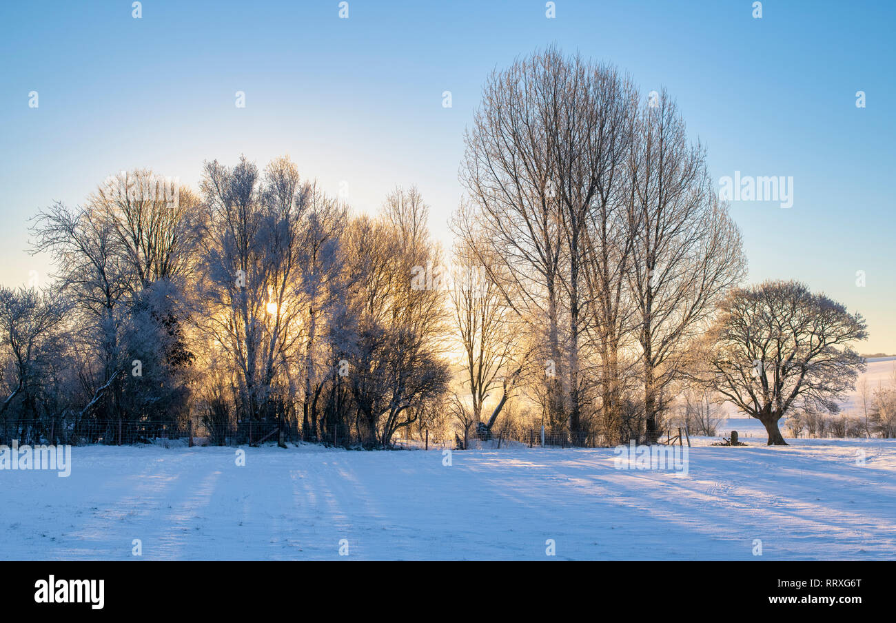 Im Winter Sonnenlicht durch Bäume und Hecke in einer verschneiten Winterlandschaft. West Kennet, Avebury, Wiltshire, England Stockfoto