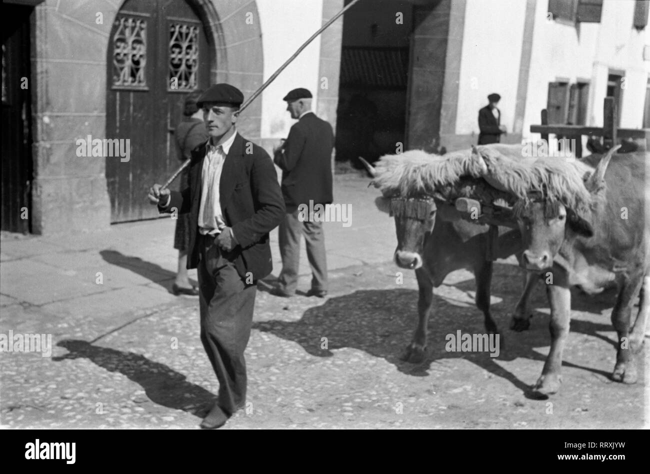 Reisen nach Frankreich - Südfrankreich, Baskenland - Bauer mit Ochsenkarren. Bauer mit Ochsengespann. Bild Datum ca. 1950. Foto Erich Andres Stockfoto